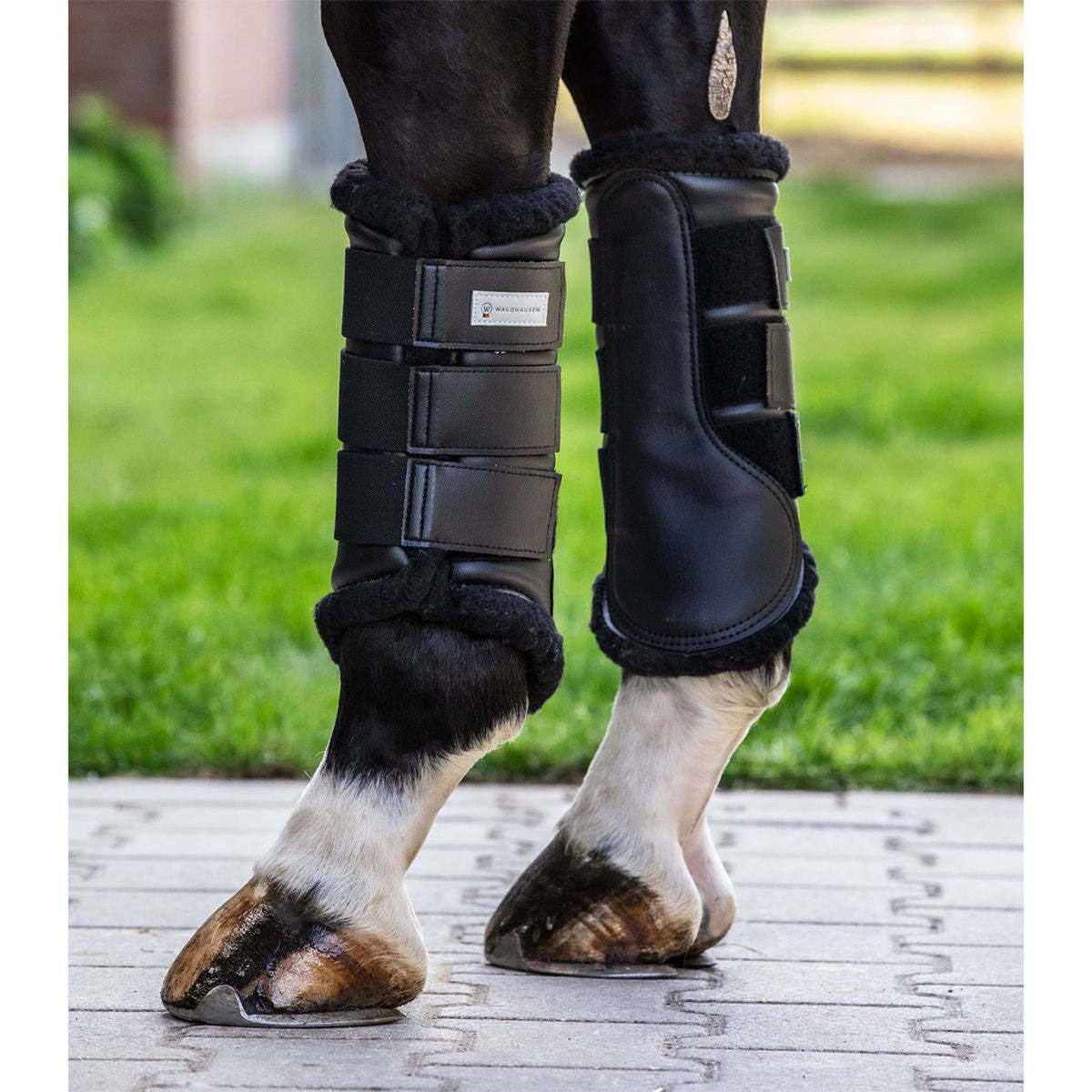 Waldhausen Leg protection Soft Dressage Black