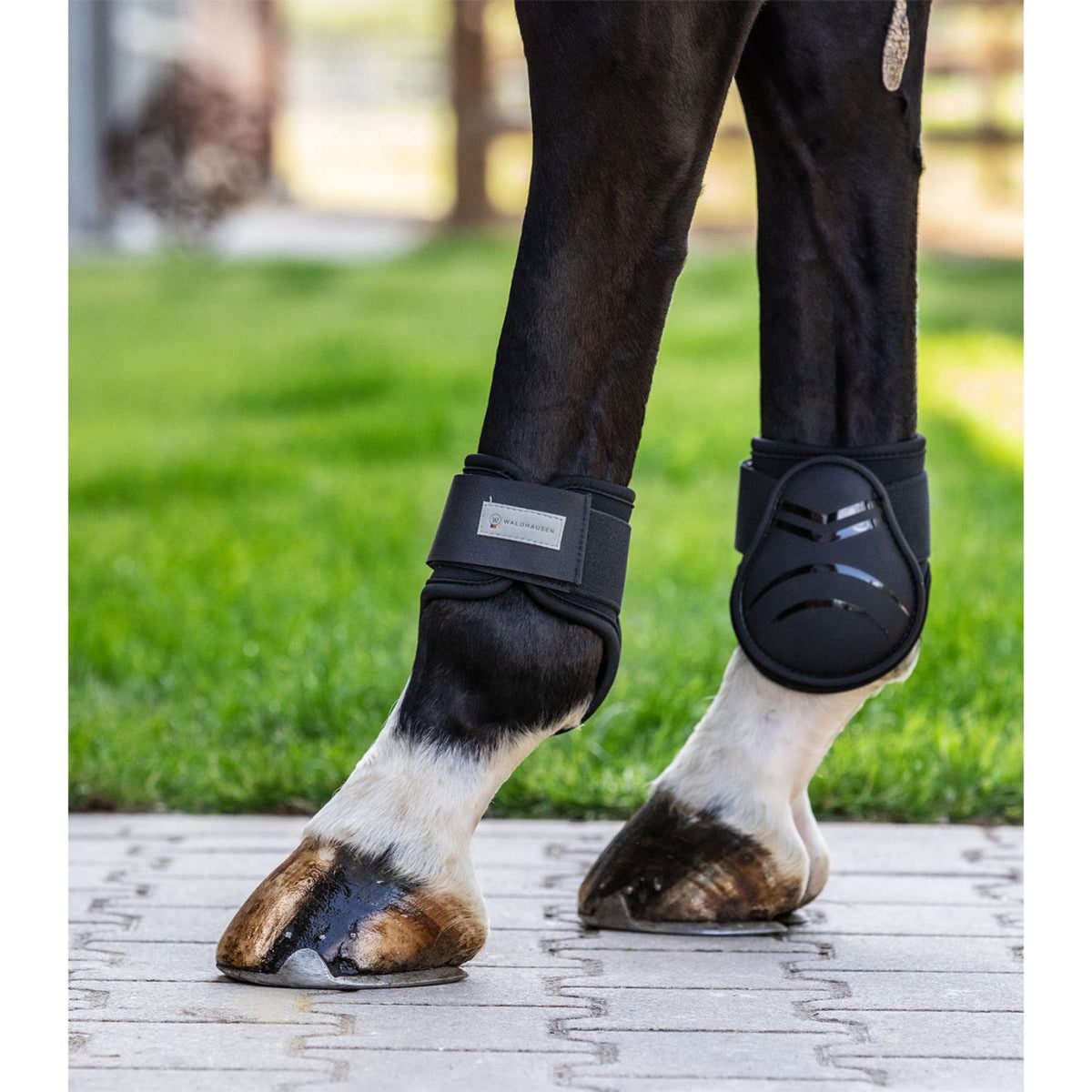 Waldhausen Fetlock Boots Basic Plus Black