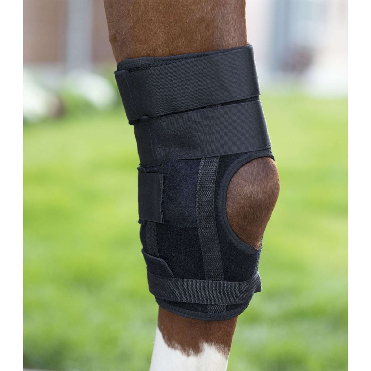 Waldhausen Leg protection Health & Care Hock Black