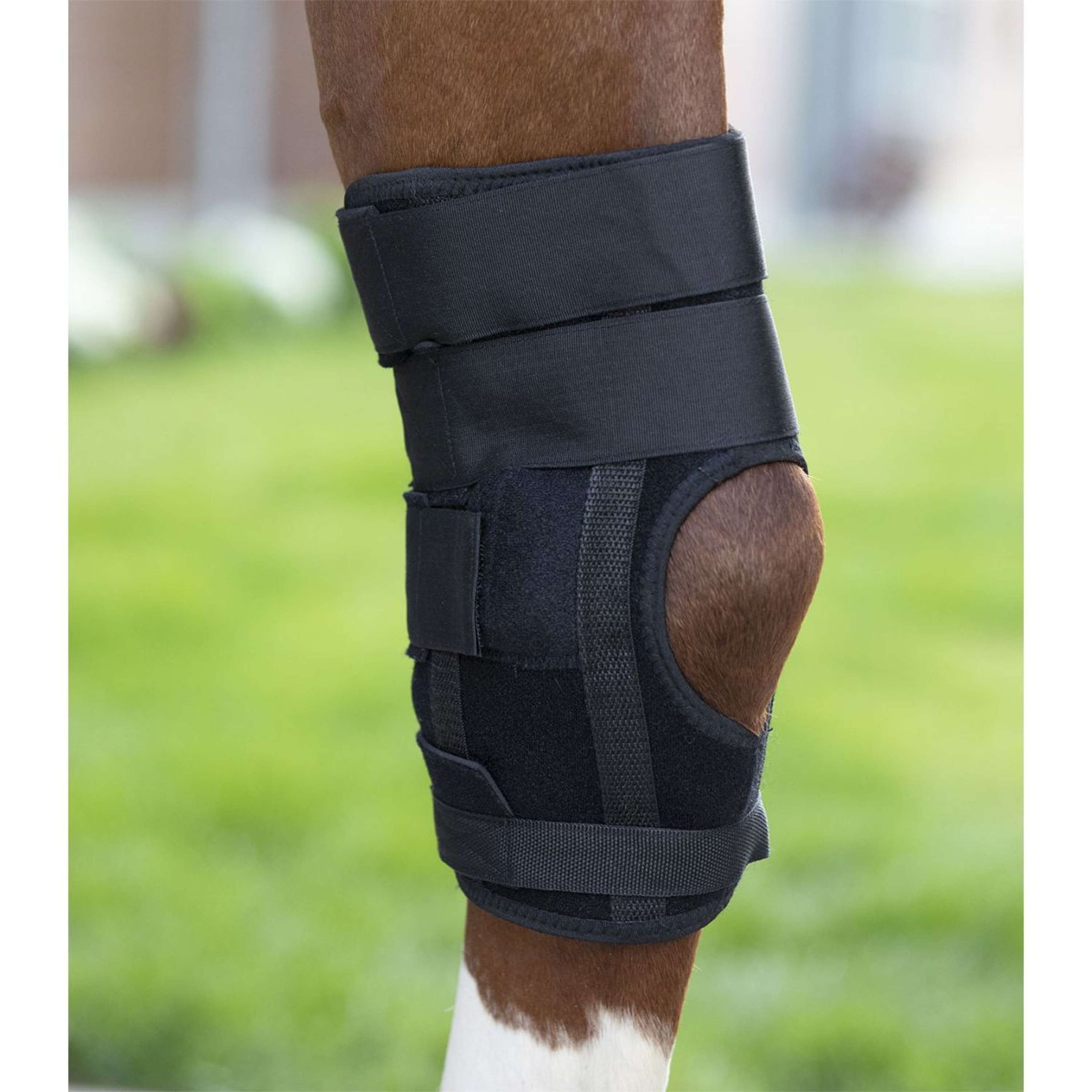 Waldhausen Health + Care Leg protection Health & Care Hock Black