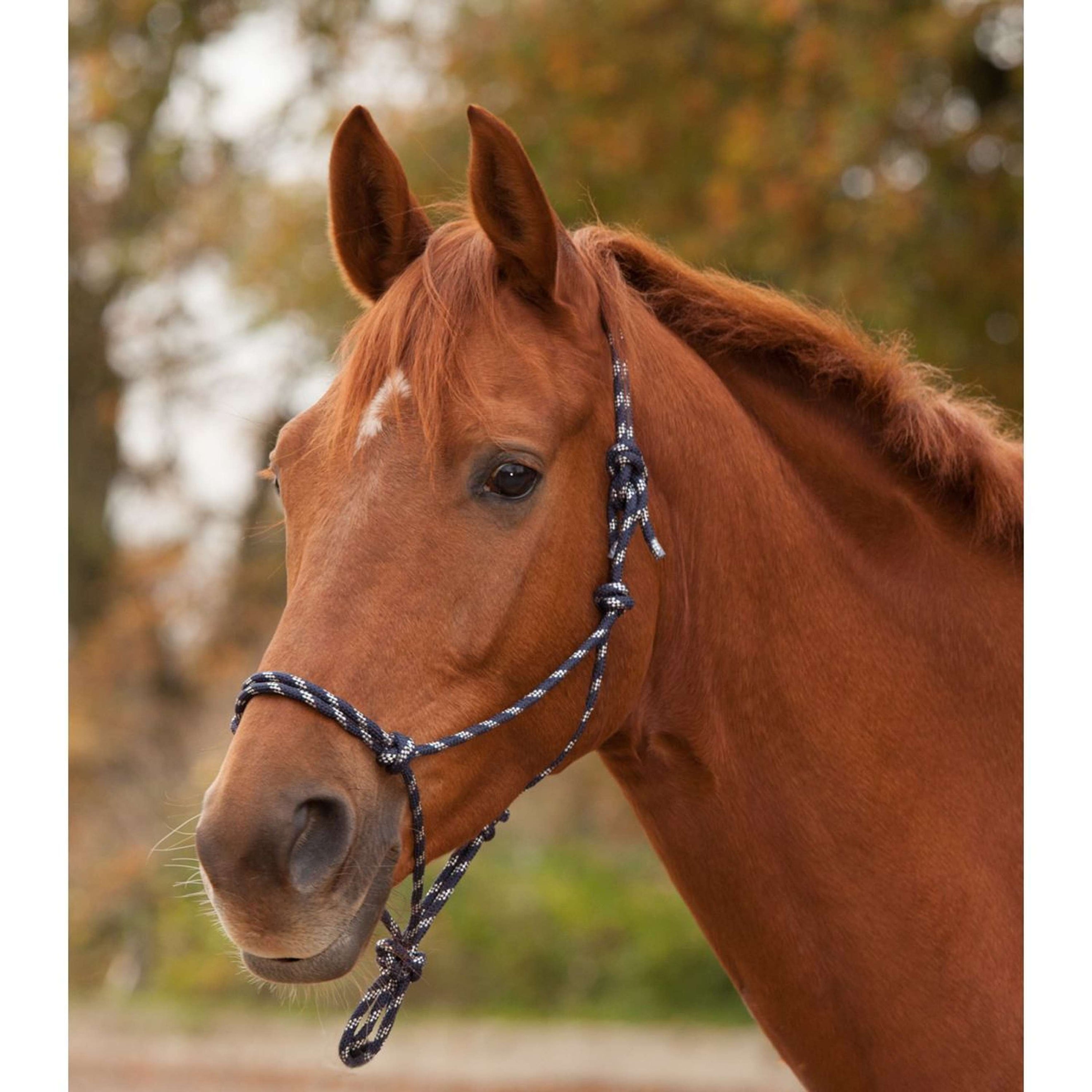 Waldhausen Rope Halter Nightblue/Silver