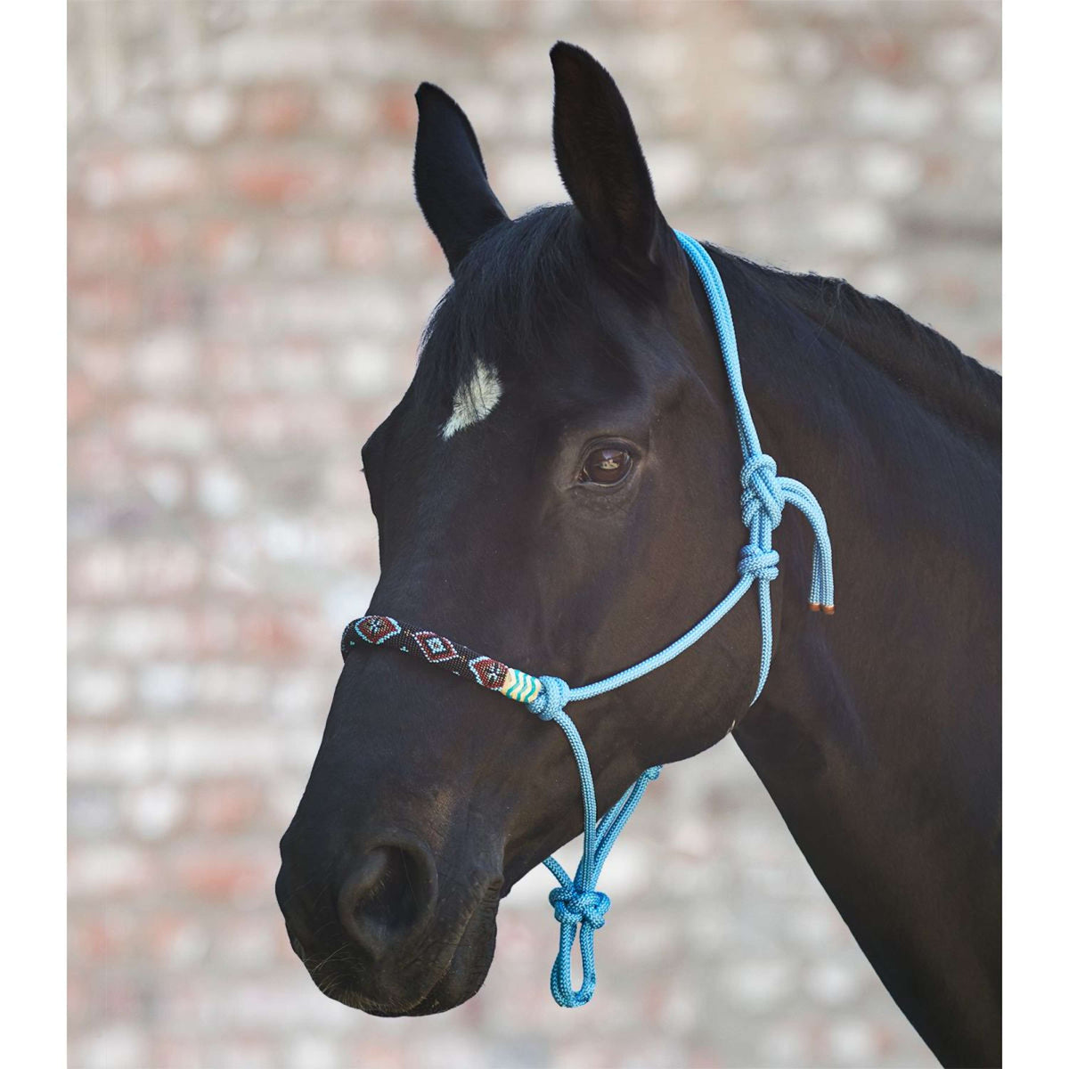 Waldhausen Rope Halter Pearls Azure Blue