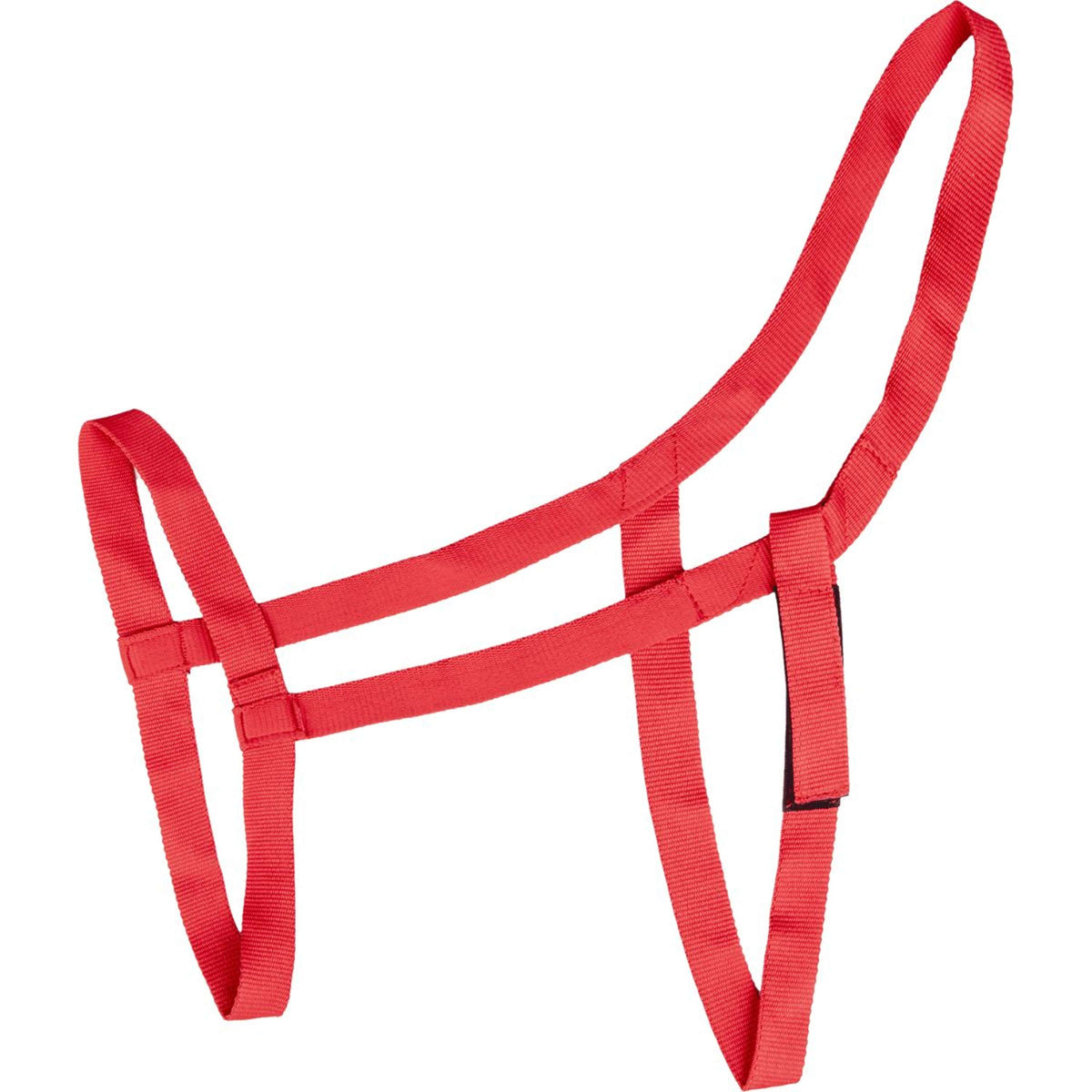 Waldhausen Halter Meadow Red