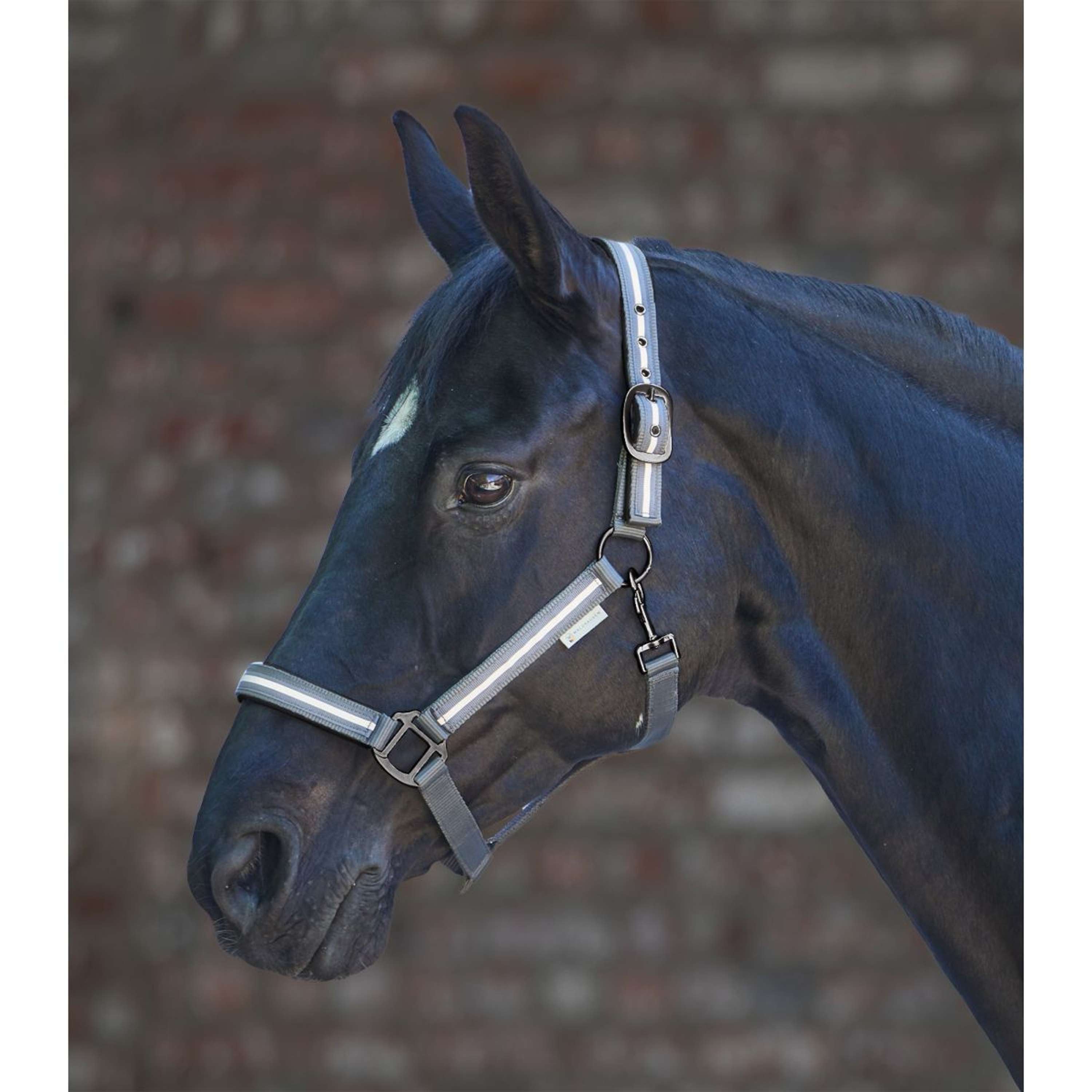 Waldhausen Halter Reflex Stripe Grey