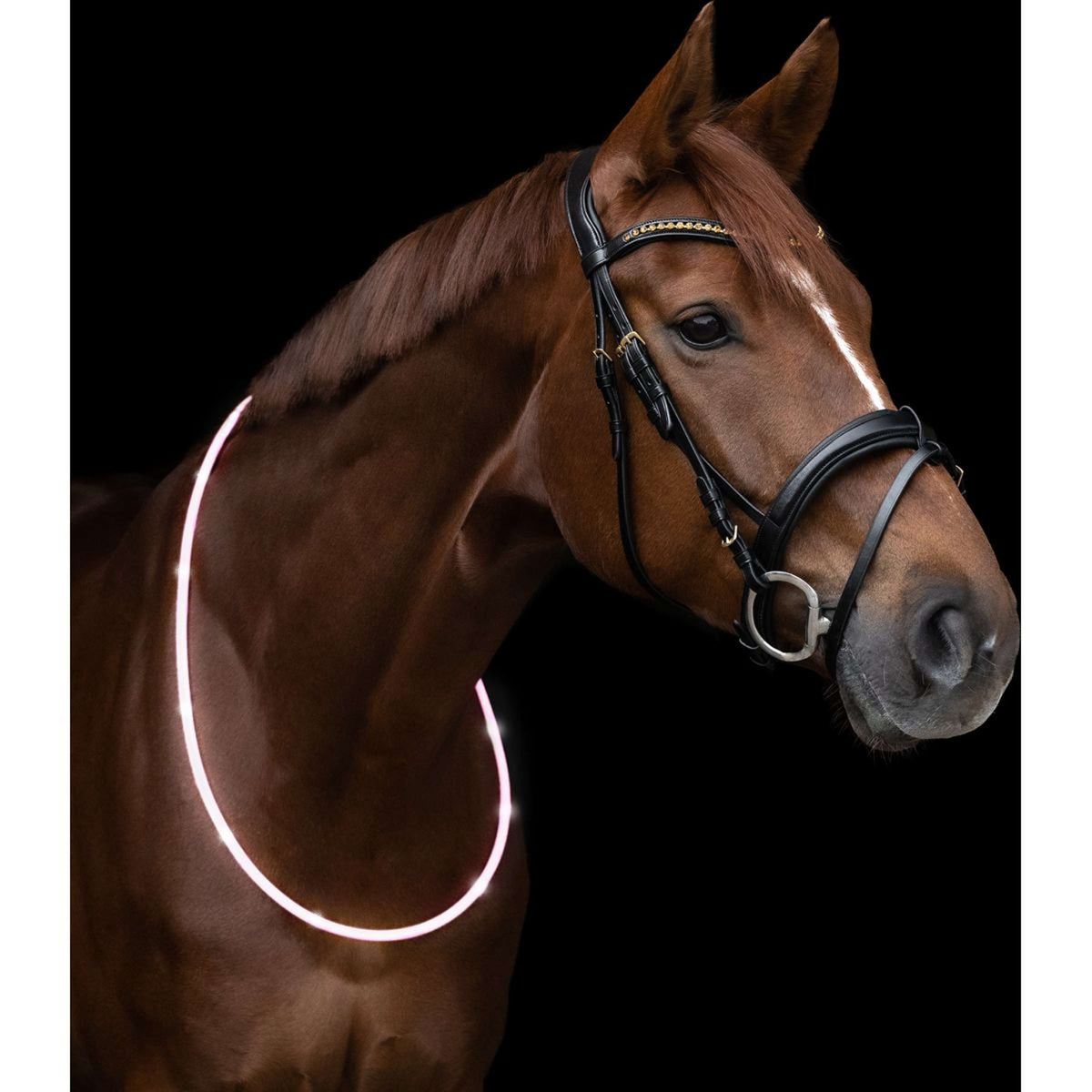 Waldhausen Neck Ring LED White