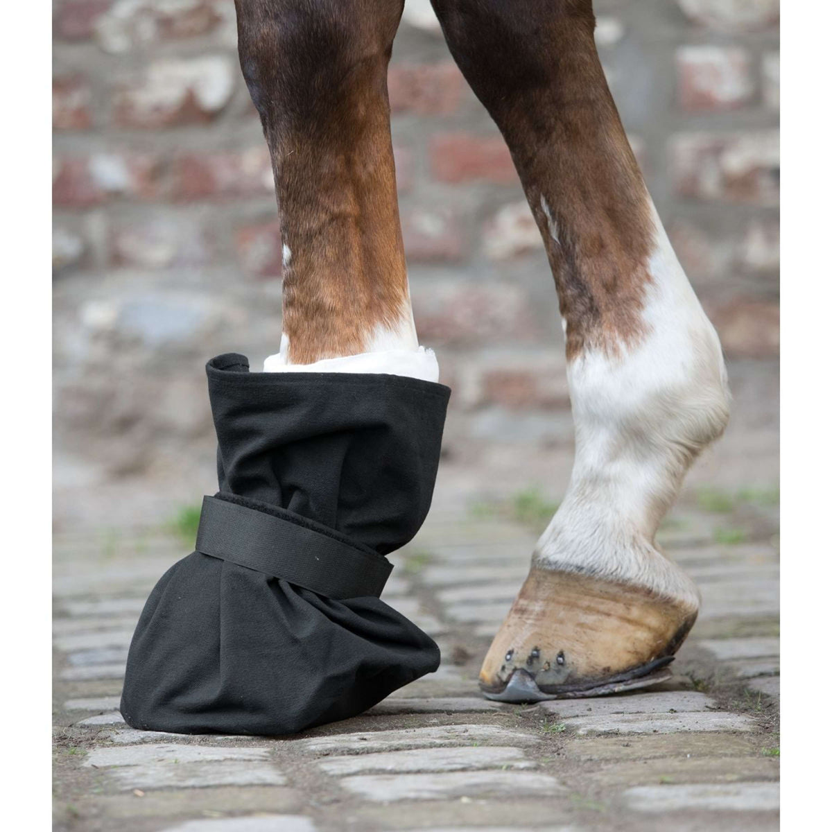 Waldhausen Hoof Bandage Cover