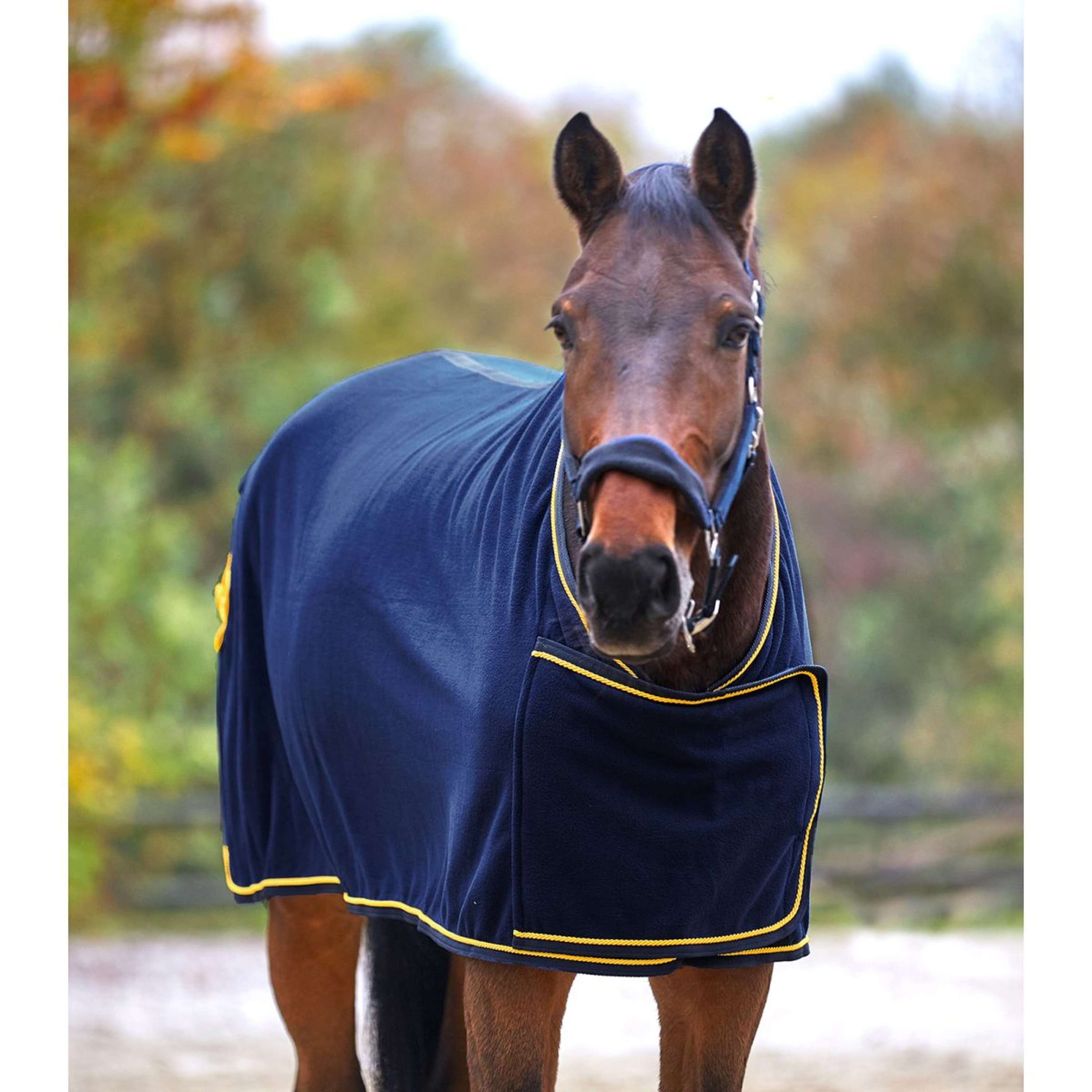 Waldhausen Fleece Rug Fleece Blue/Gold