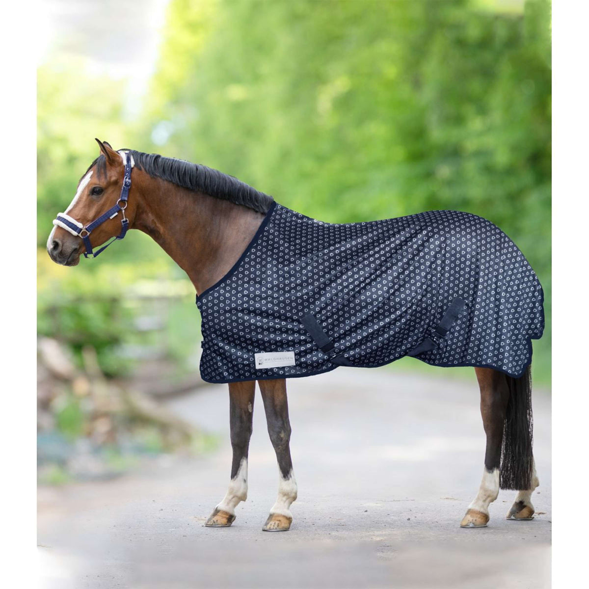 Waldhausen Fly Rug Lucky Heart Nightblue