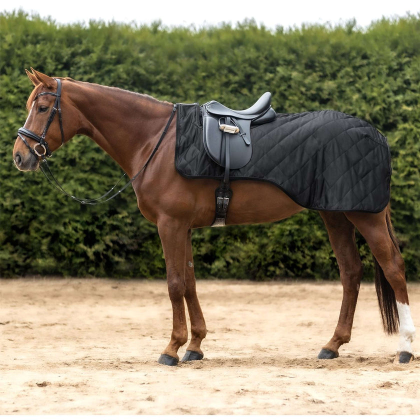 Waldhausen Exercise Rug Exclusive Black