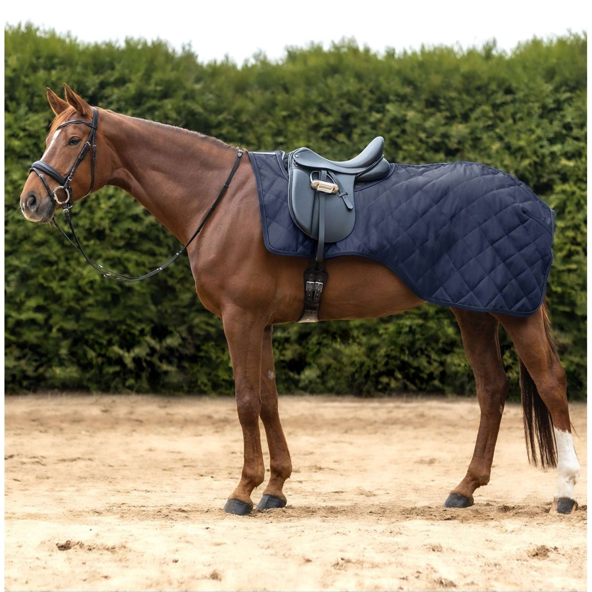 Waldhausen Exercise Rug Exclusive Nightblue