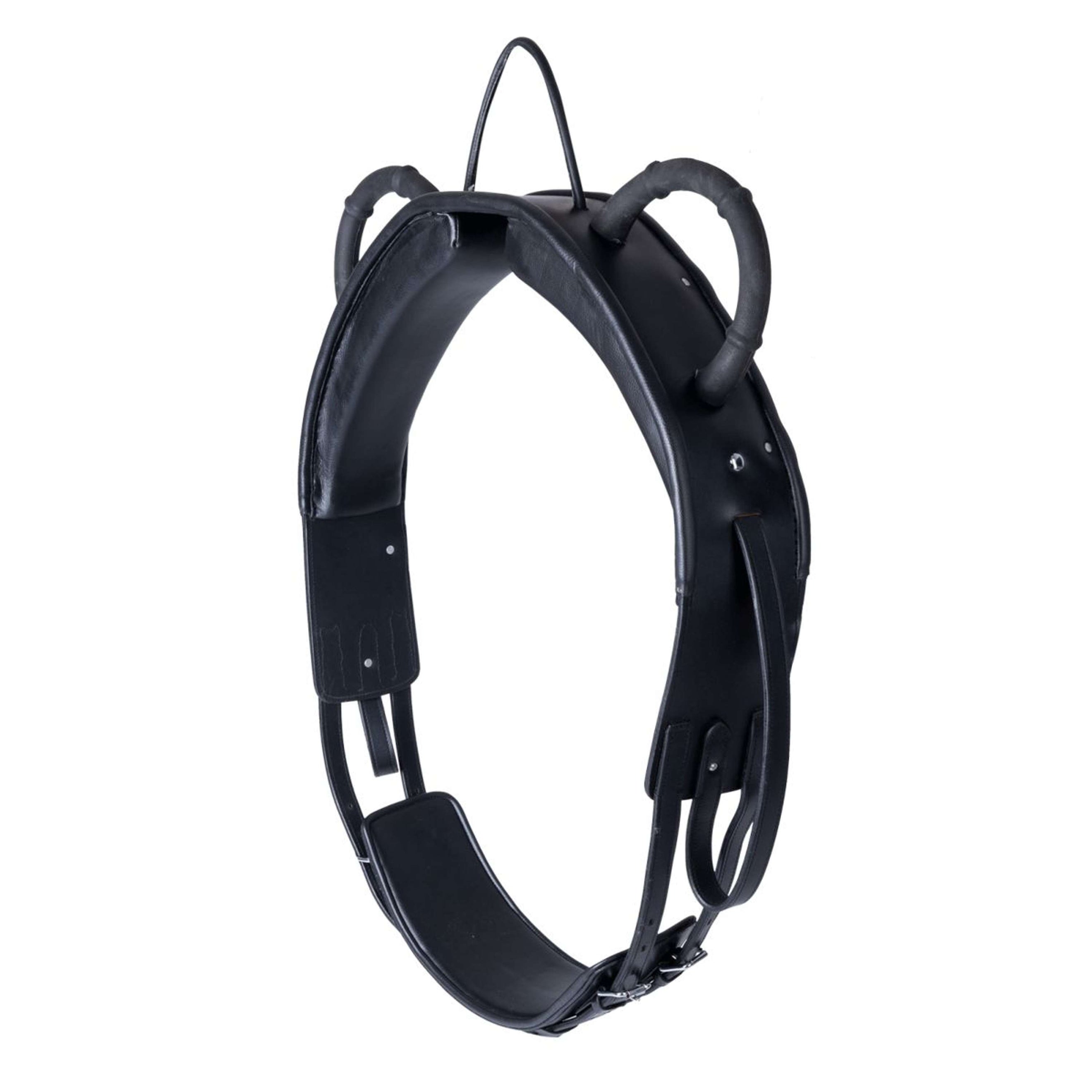 Waldhausen Short Girth Training Black Waldhausen Short Girth Training Black