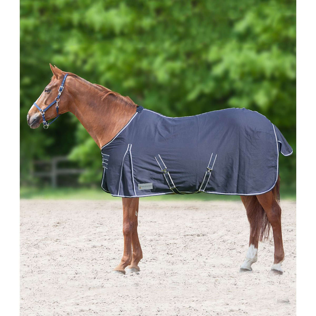 Waldhausen Stable/Summer Rug Nightblue