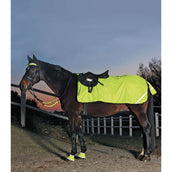 Waldhausen Quarter Rug Reflex Neon Yellow