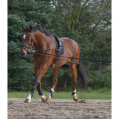 Waldhausen Lunging System Black