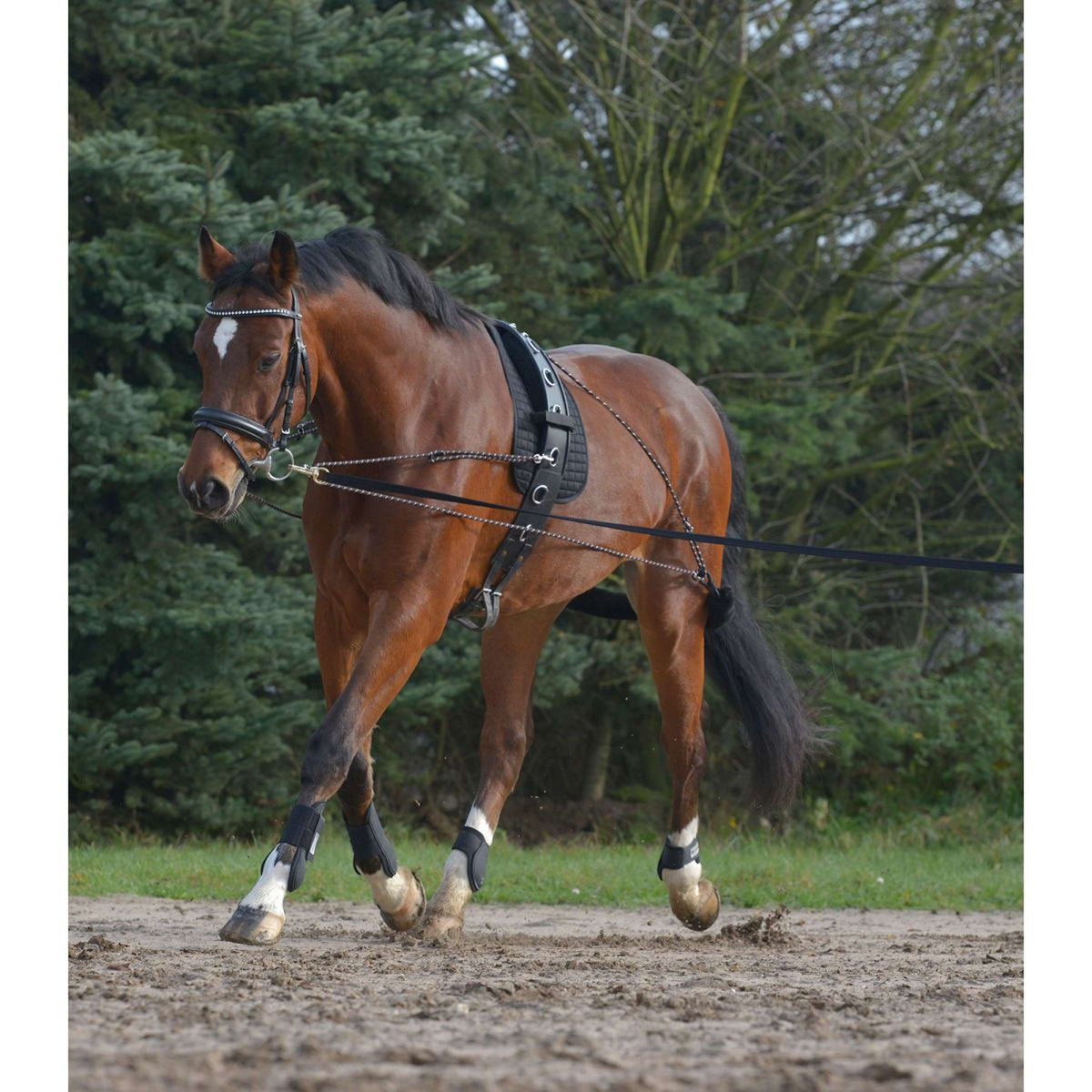 Waldhausen Lunging System Black