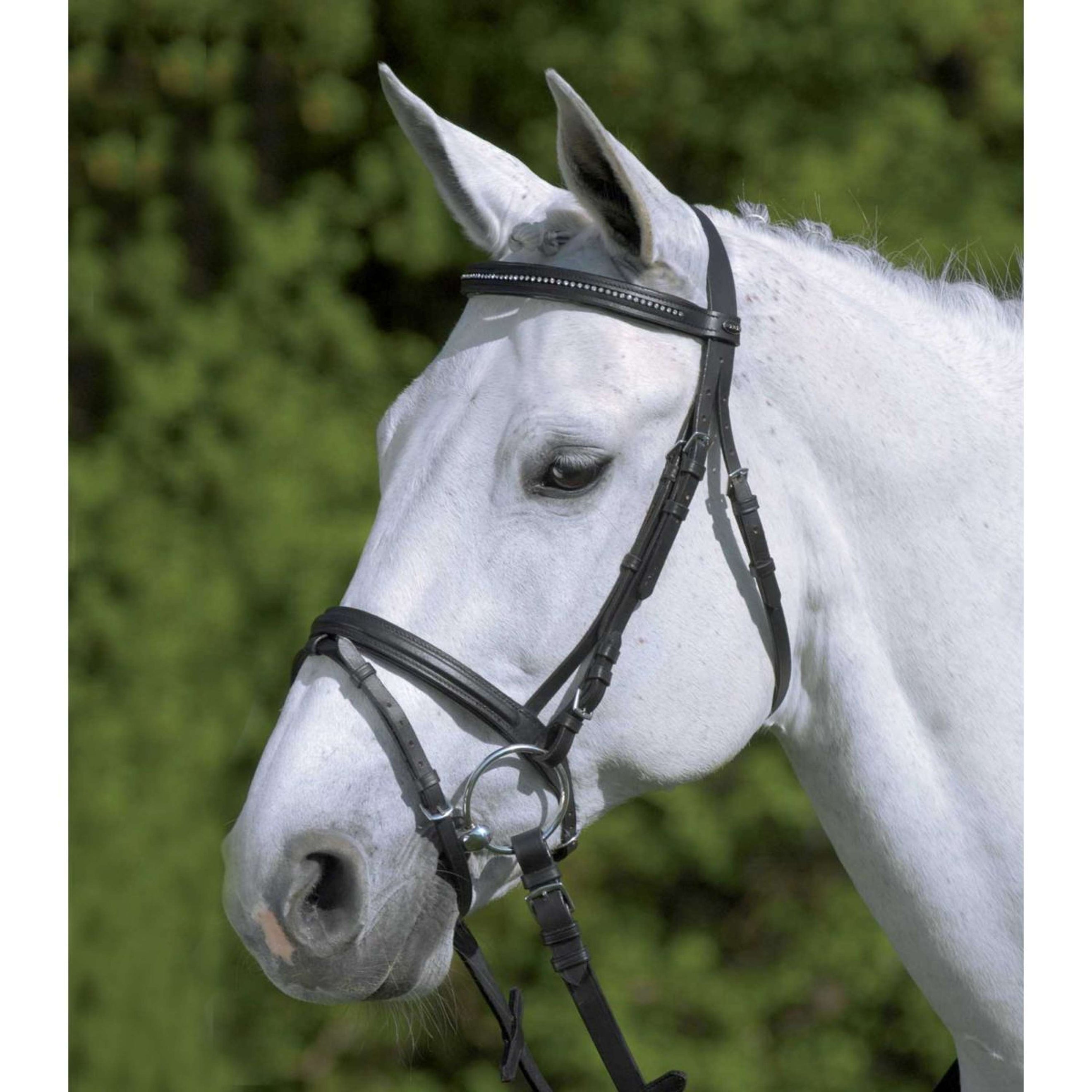 Star Snaffle Bridle Diamond English Combined Black Star Snaffle Bridle Diamond English Combined Black