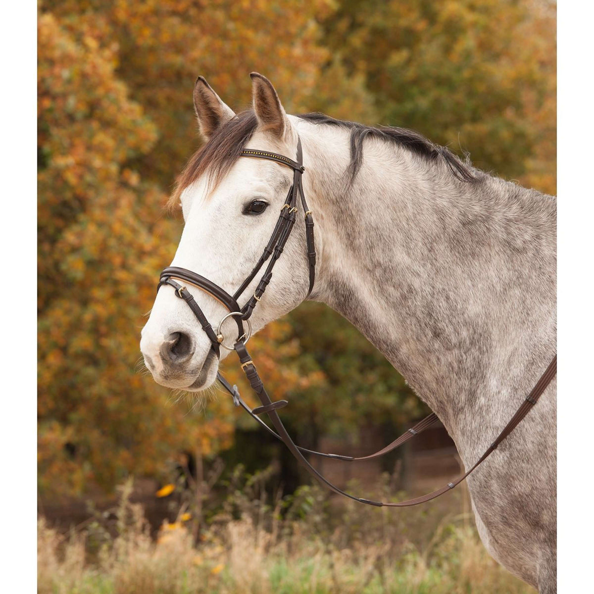 Star Snaffle Bridle Diamond English Combined brown/gold