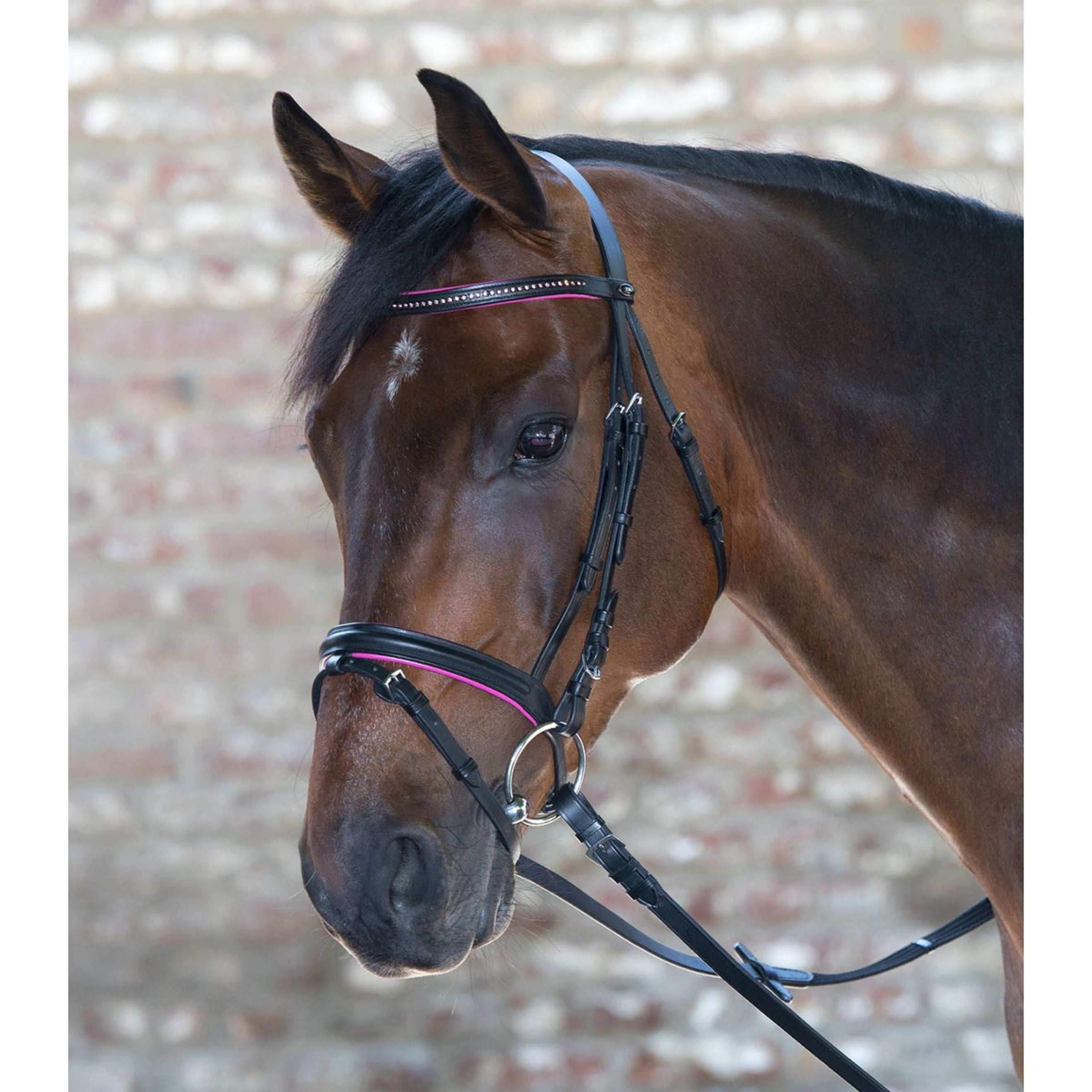 Star Snaffle Bridle Diamond English Combined Fuchsia Star Snaffle Bridle Diamond English Combined Fuchsia