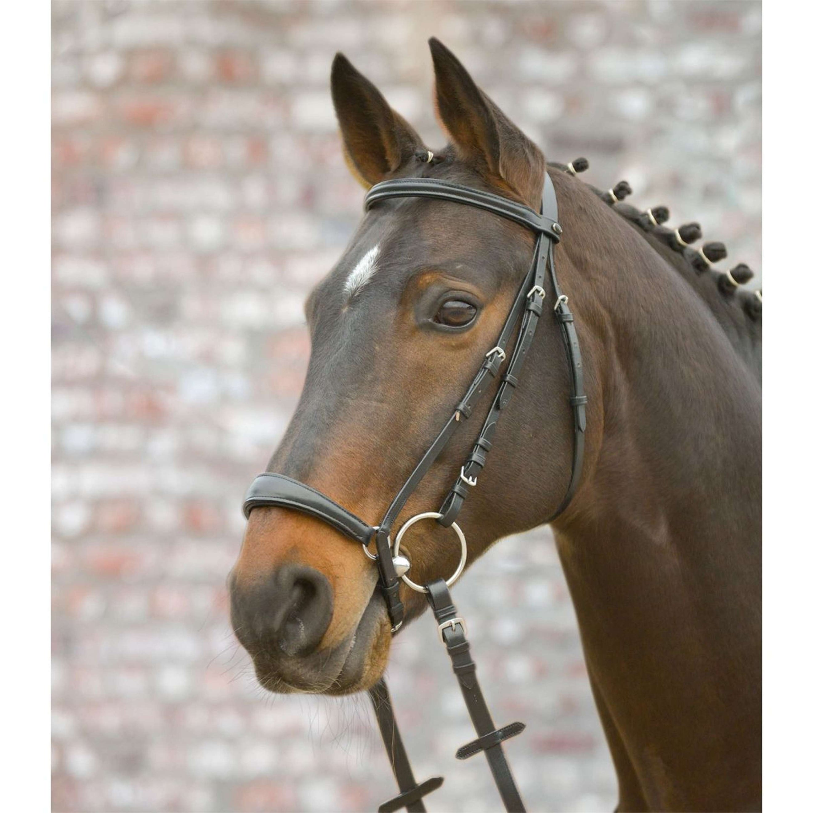 Star Bridle Hannoverian Black Star Bridle Hannoverian Black