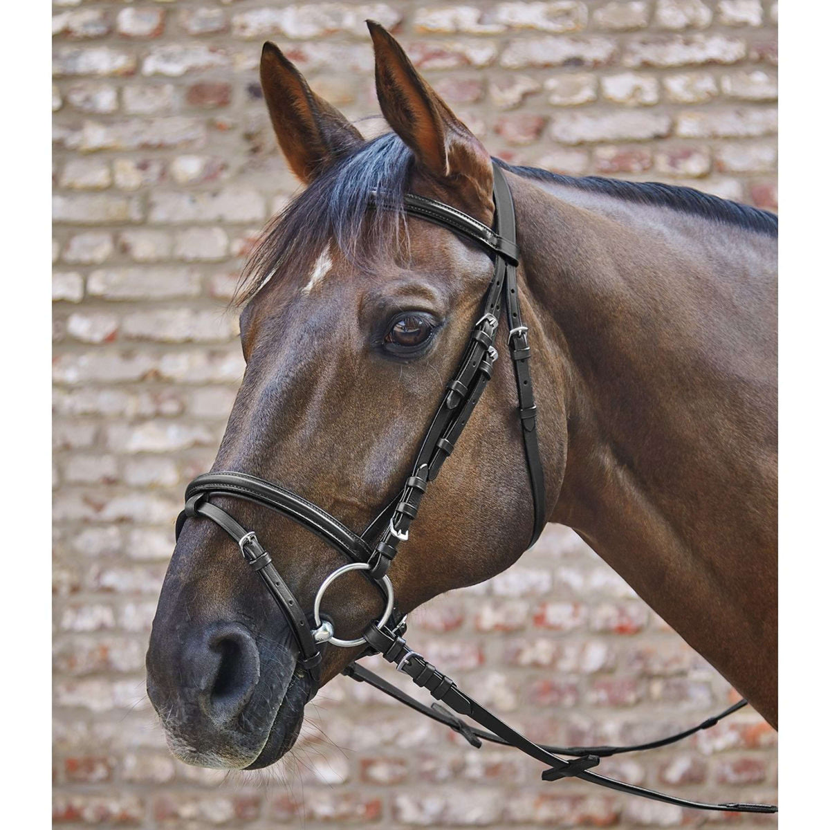 Star Snaffle Bridle Basic English Combined Black