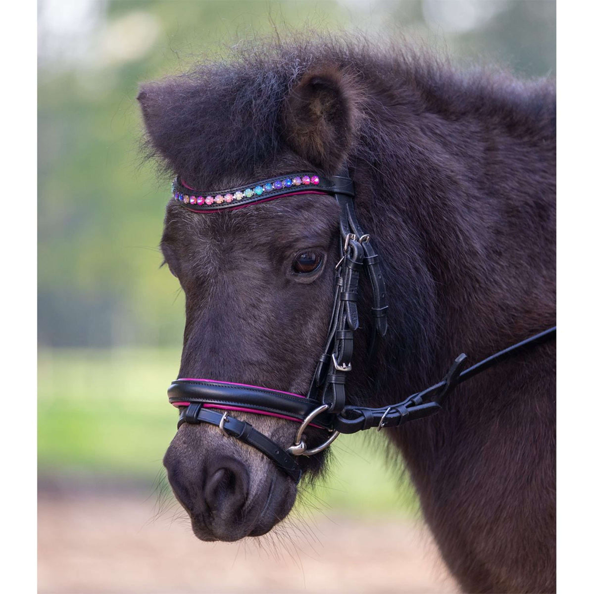 Star Snaffle Bridle Pinky English Combined Black