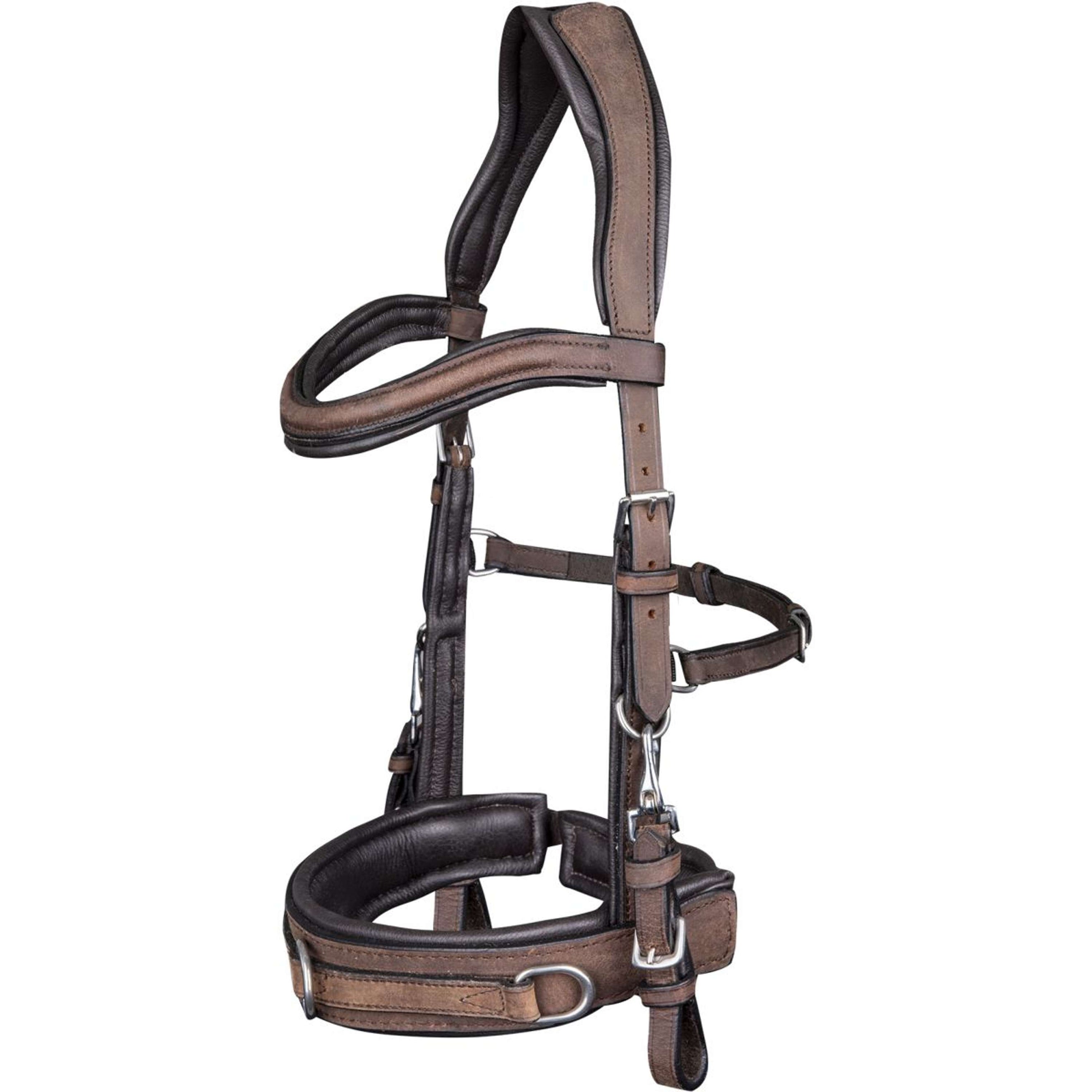 Waldhausen Cavesson Anatomic Brown