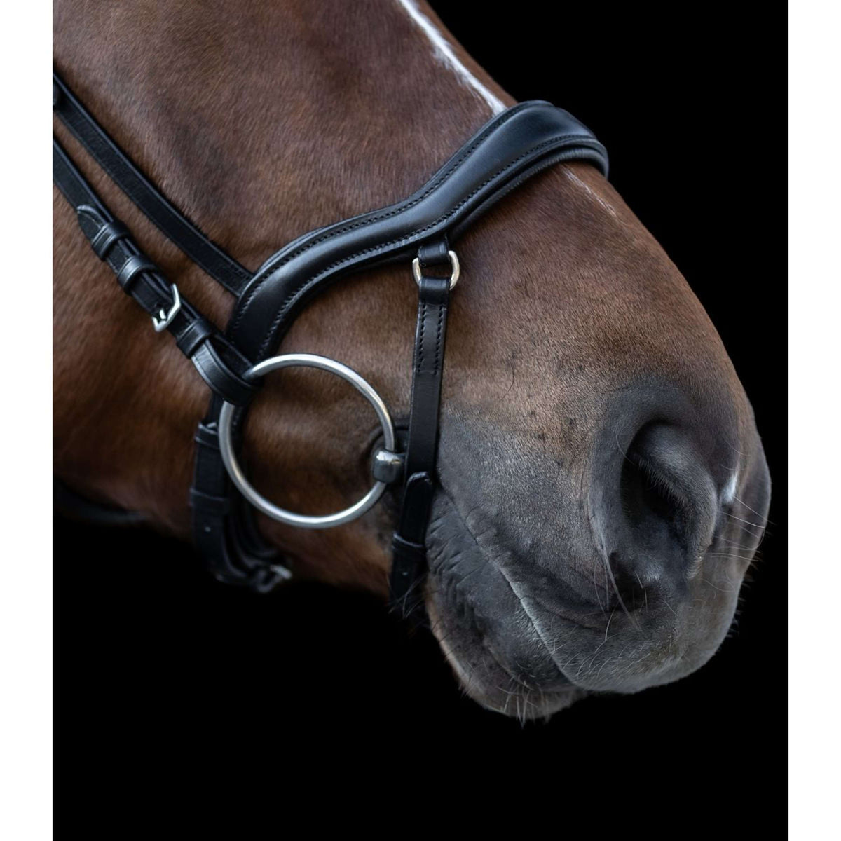 Waldhausen Bridle X-Line New Shape II Black