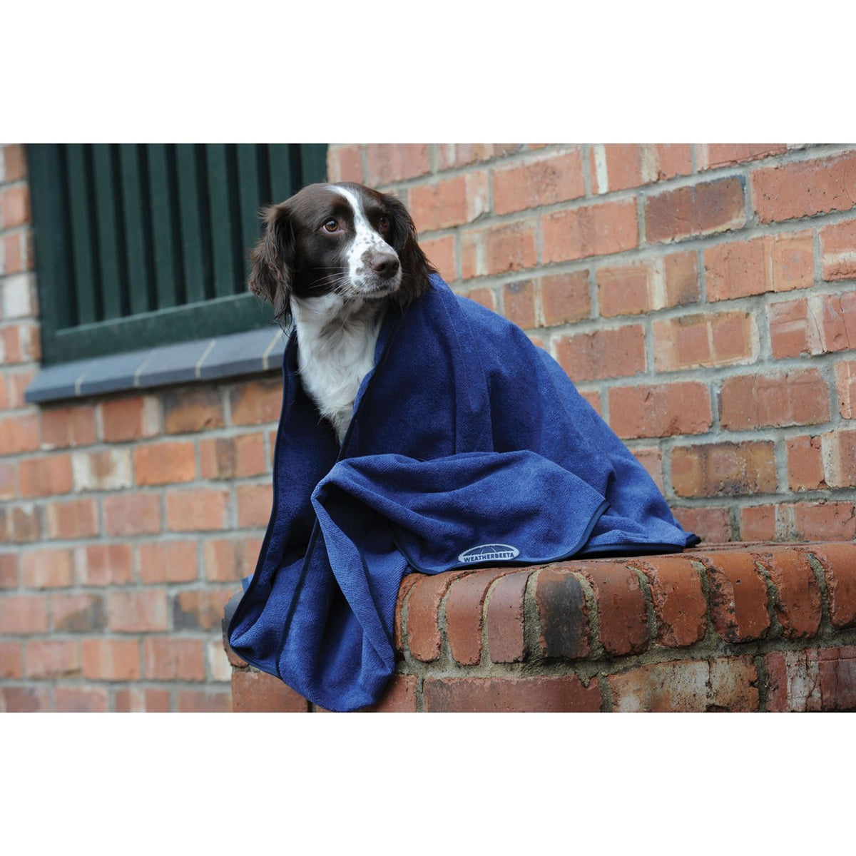 Weatherbeeta Dog Towel Blue