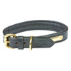 WeatherBeeta Dog Collar Padded Leather Black