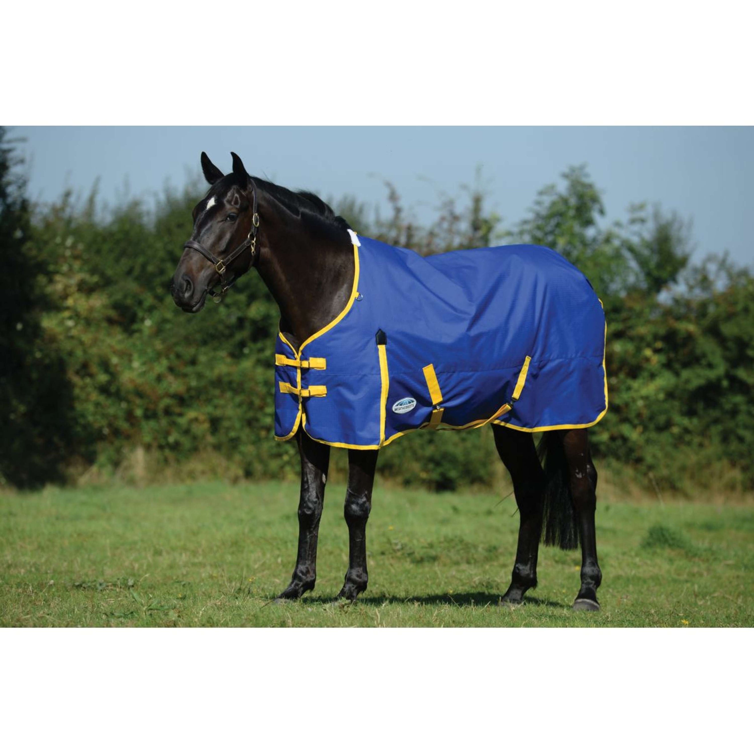 WeatherBeeta ComFiTec Classic Standard Neck Medium 220g Blue/Lemon