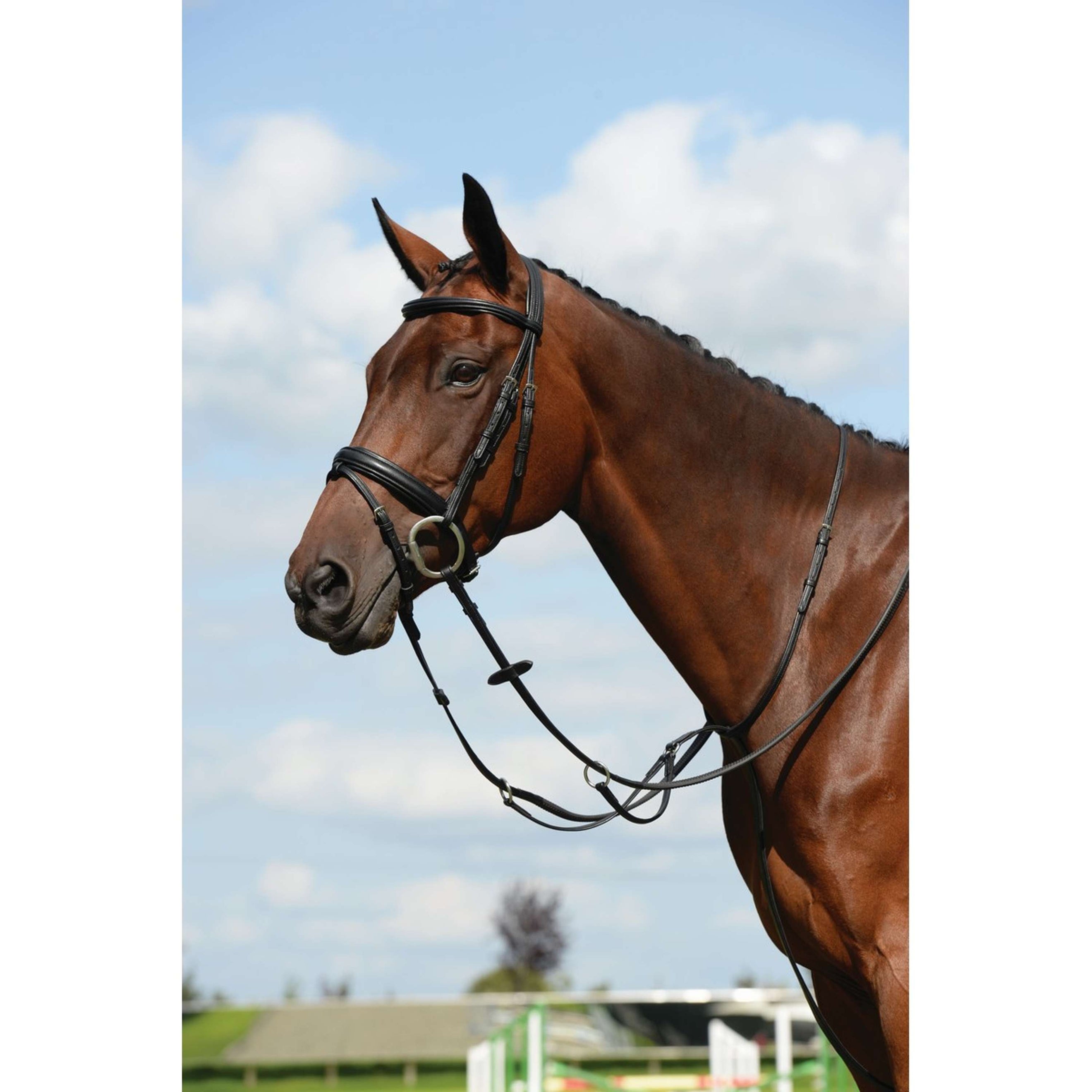 Collegiate Martingale Syntovia+ Plain Black