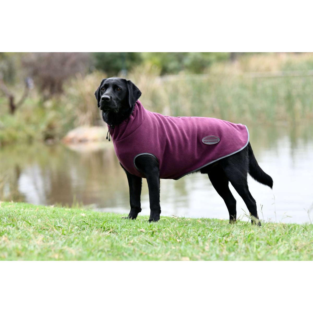 Weatherbeeta Dog Coat Comfitec Fleece Zip Maroon/Grey