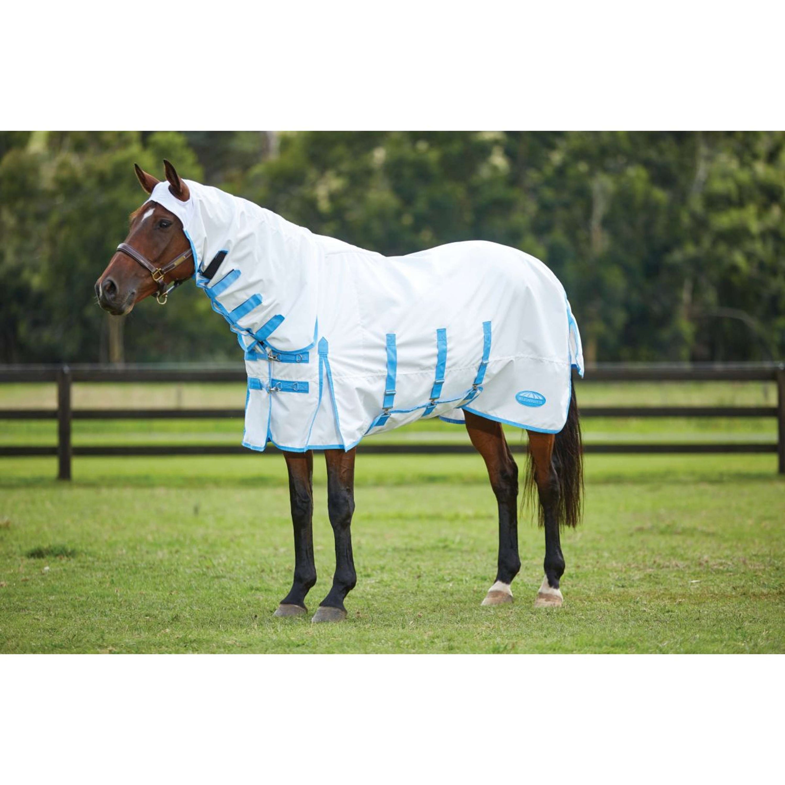 Weatherbeeta Eczema Rug Sweet Itch Combo Neck White/Blue