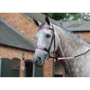 Weatherbeeta Bridle Kit Reflective 4 Pieces Pink