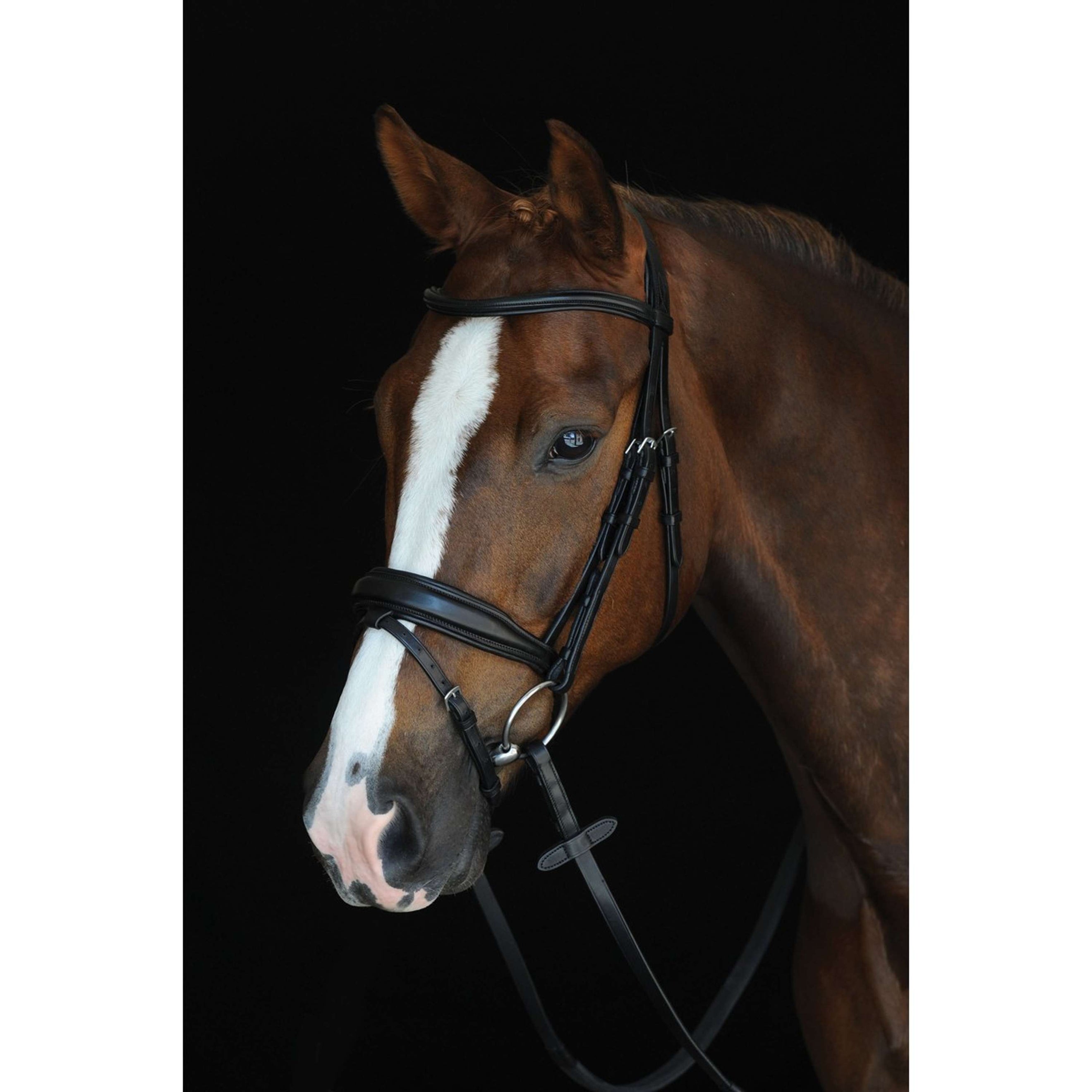 Collegiate Bridle Raised Flash Mono Crown Padded Black