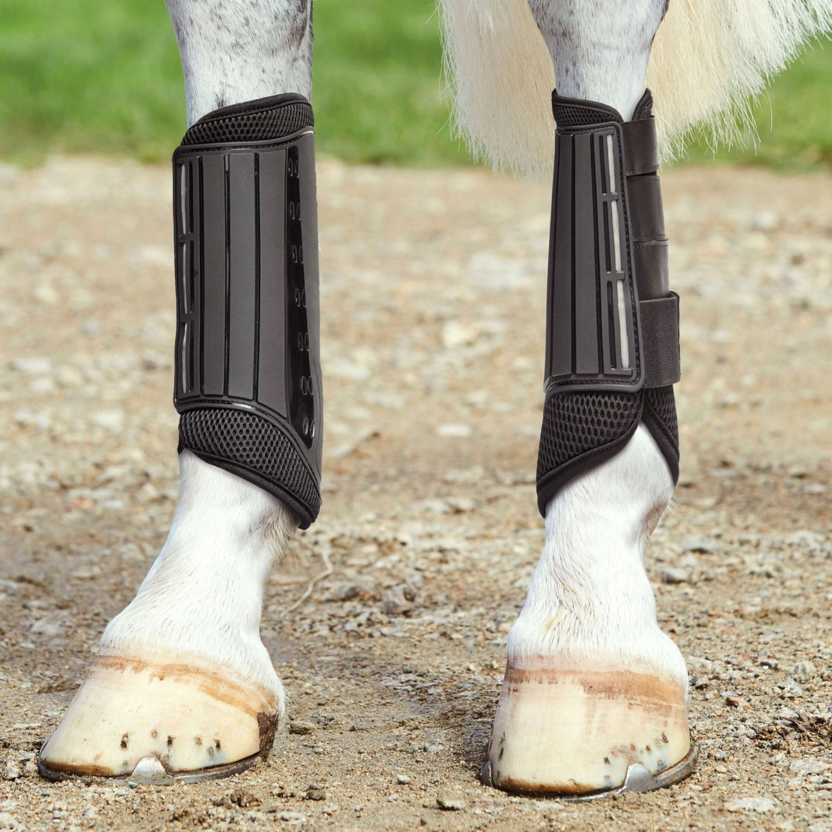 Weatherbeeta Leg Protectors Hind Eventing Black