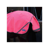 Weatherbeeta Exercise Sheet 300D Reflective Pink