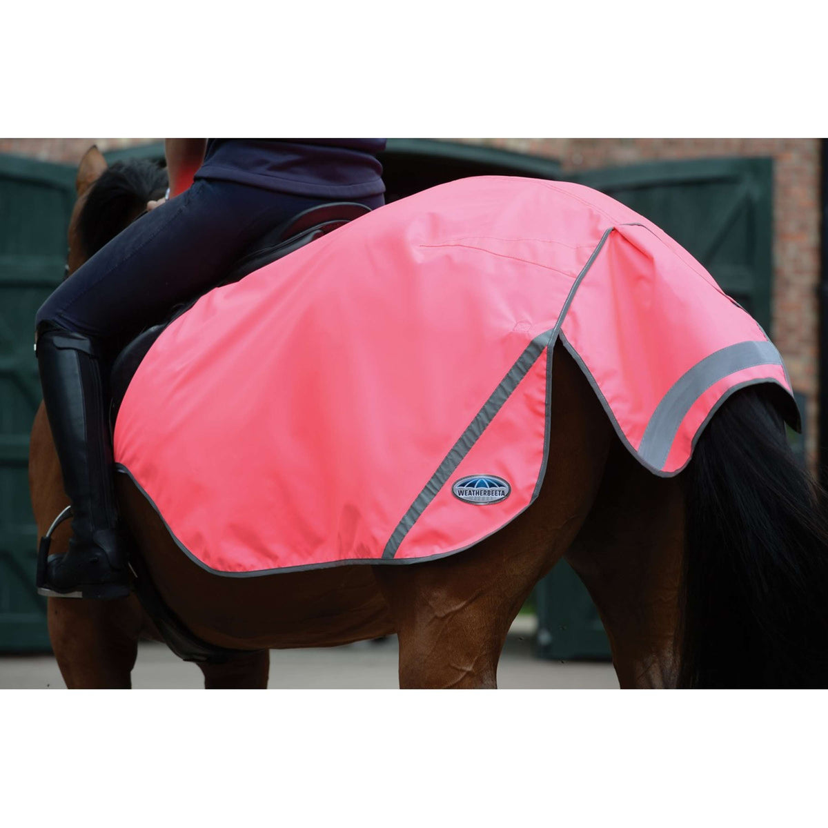 Weatherbeeta Exercise Sheet 300D Reflective Pink