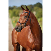 Collegiate Bridle Comfitec Training Brown