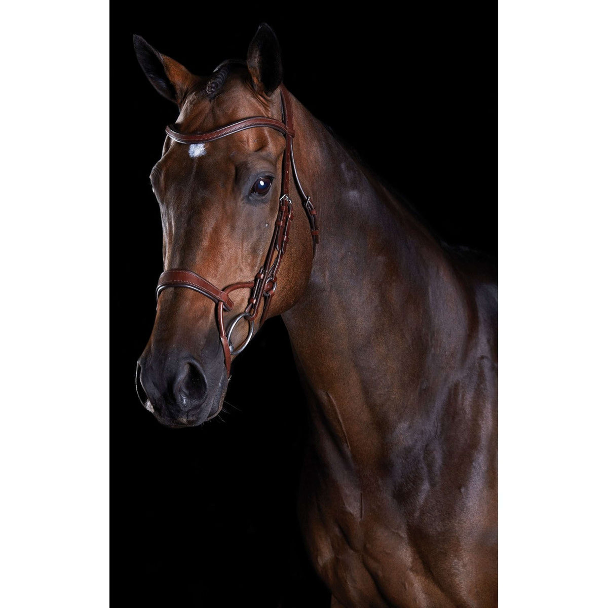 Collegiate Bridle Comfitec Training Brown