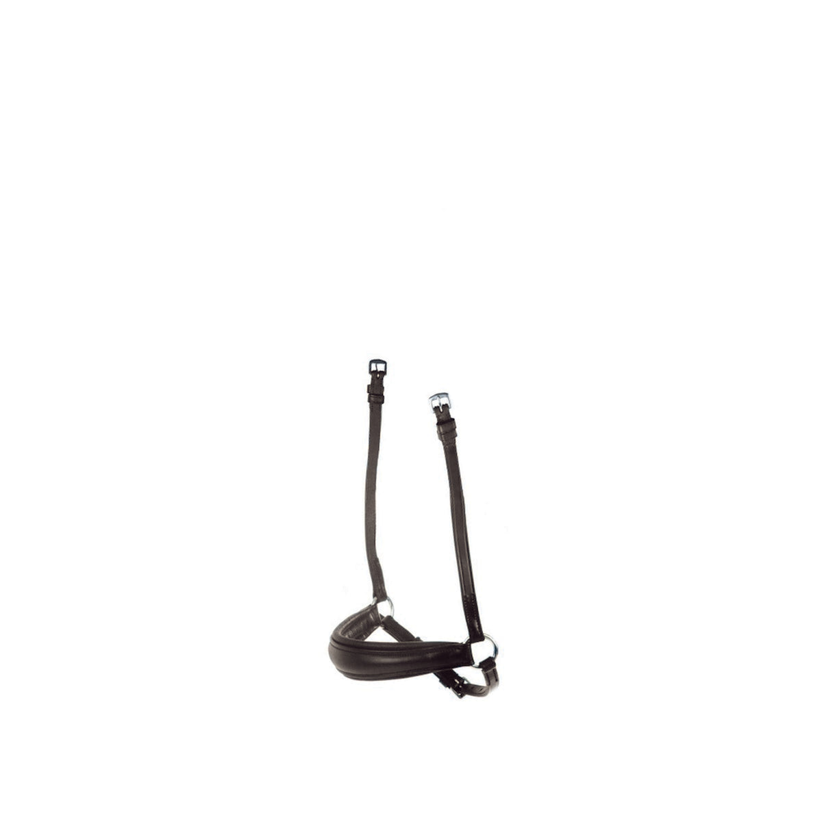 Collegiate Drop Noseband Black Brown