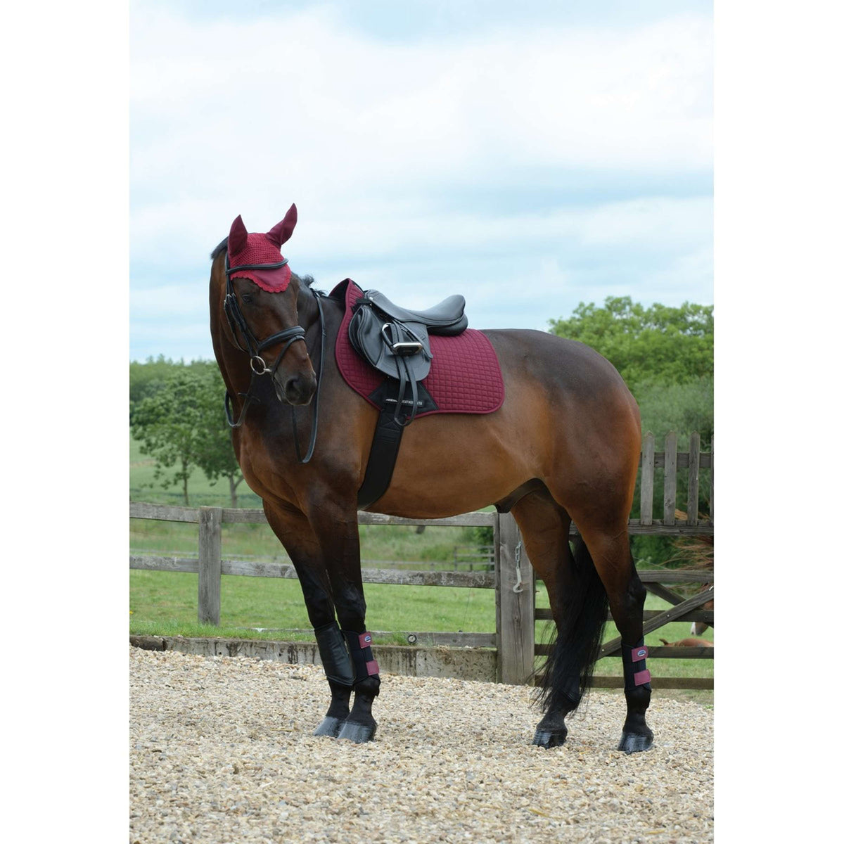 Weatherbeeta Saddlepad Prime General Purpose Maroon