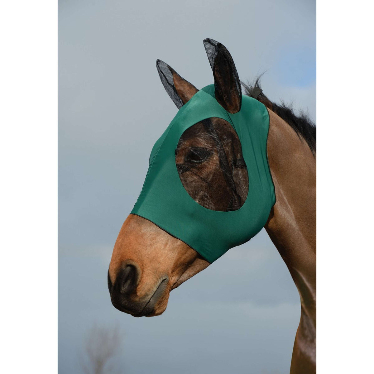 Weatherbeeta Fly Mask Stretch Bug Eye Saver with Ears Hunter/Black