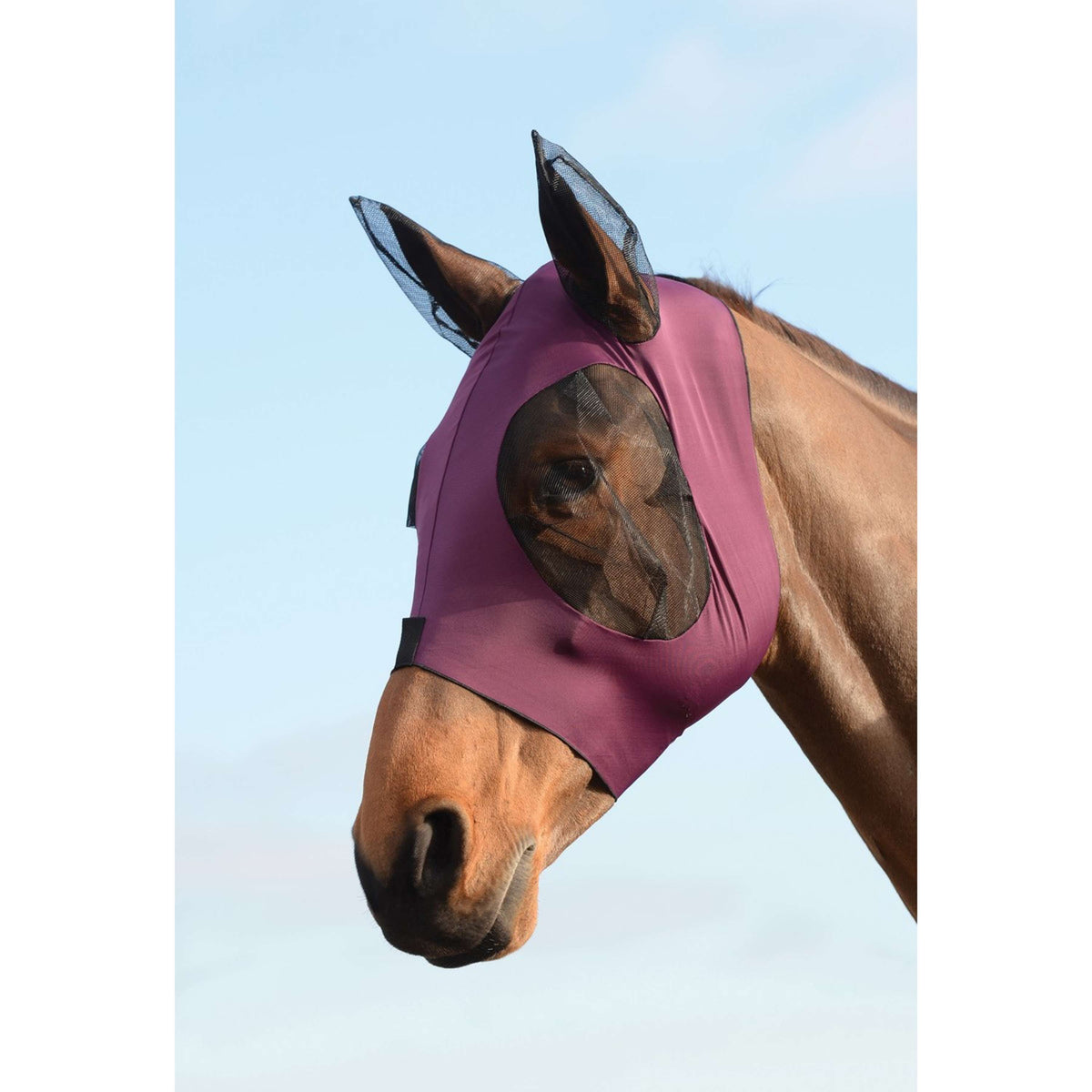 Weatherbeeta Fly Mask Stretch Bug Eye Saver with Ears Purple/Black