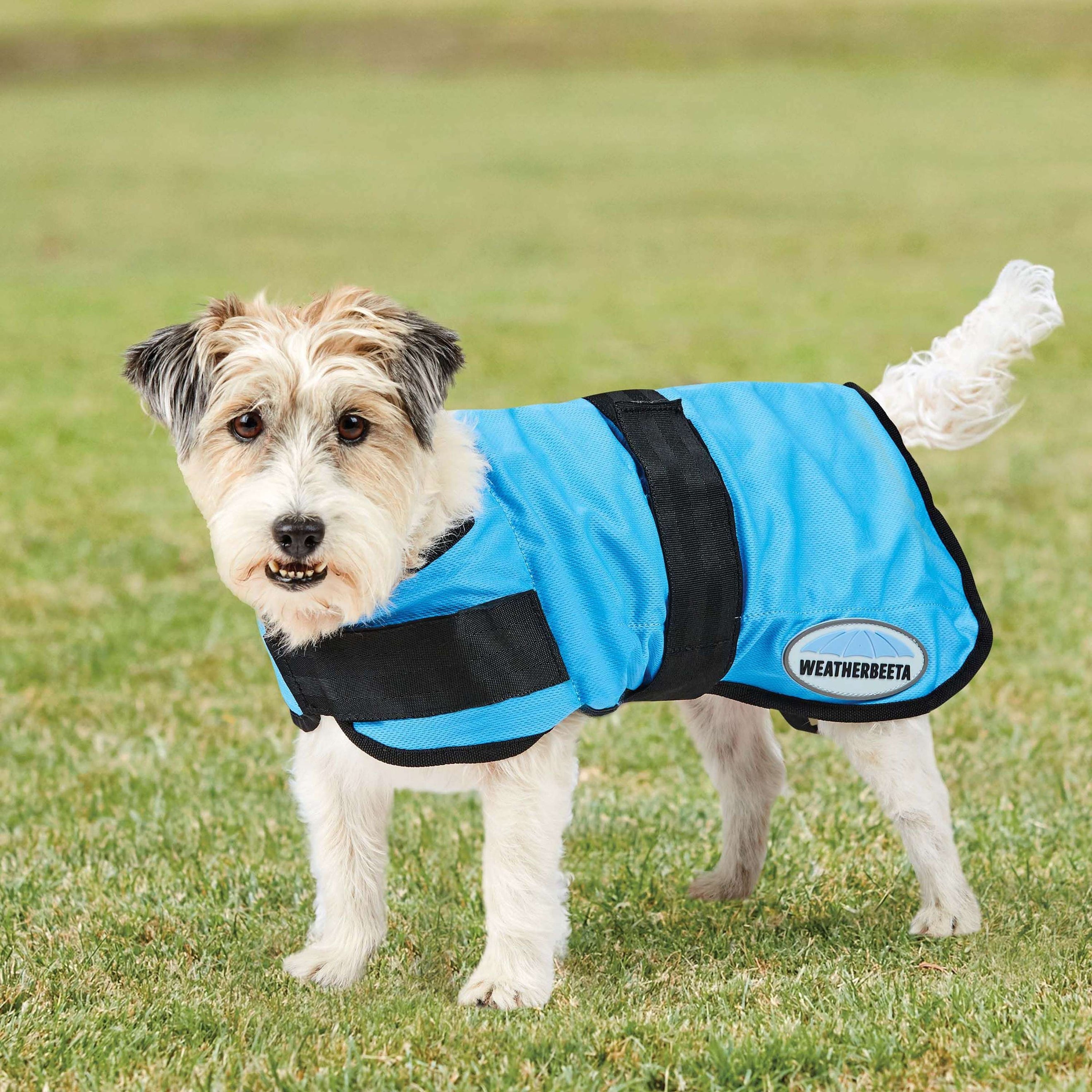 Weatherbeeta Cooling Blanket Therapy-Tec for Dogs Blue