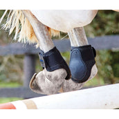 Weatherbeeta Fetlock Boots Lite Black