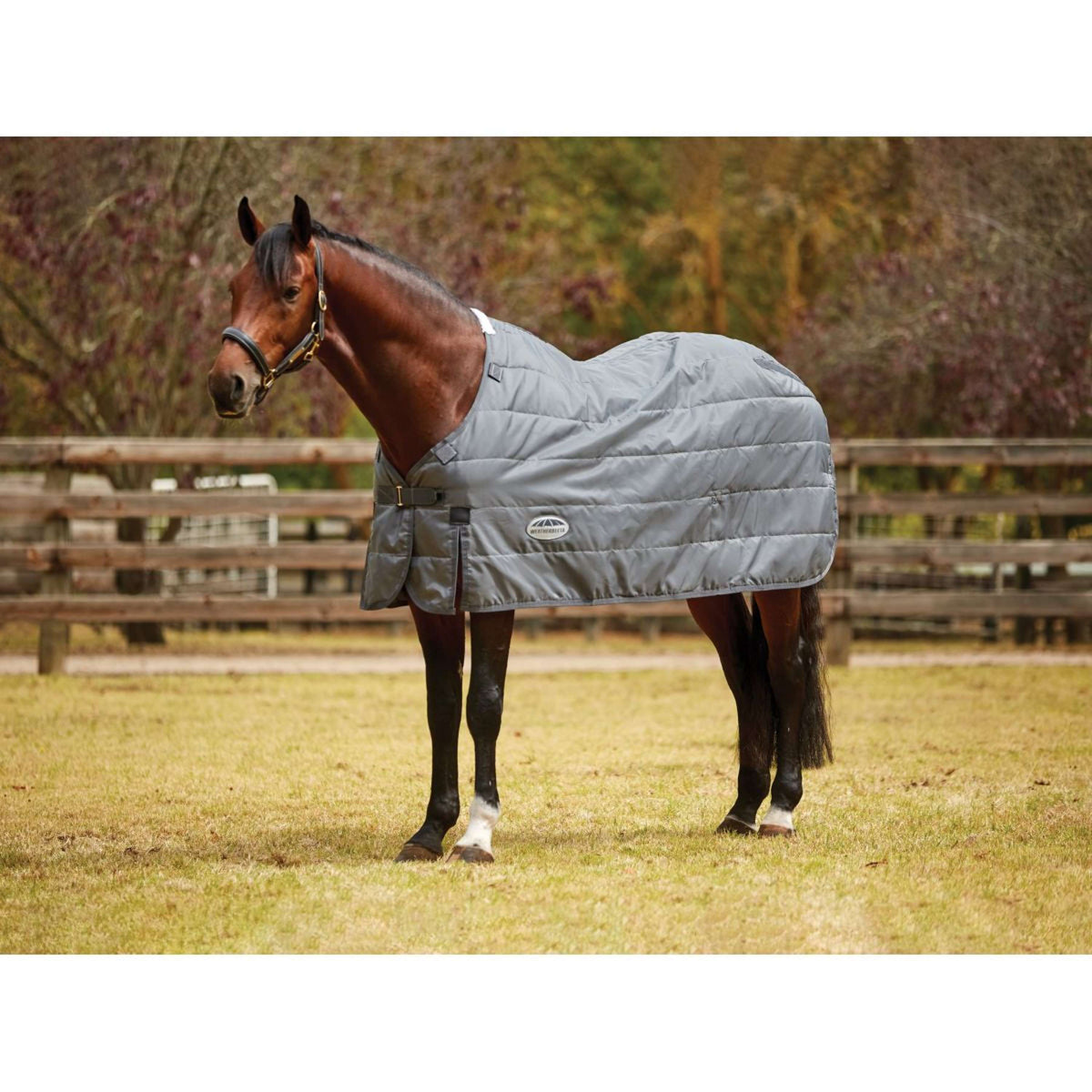 Weatherbeeta Comfitec Liner Medium Rug 200g Grey