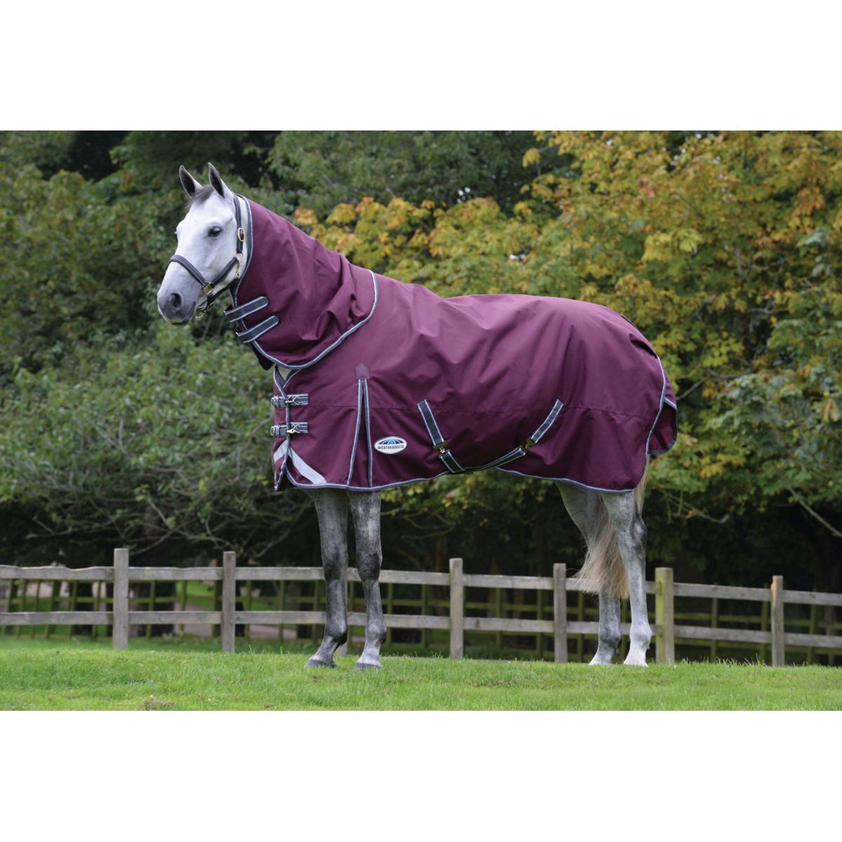 Weatherbeeta Rain Rug Comfitec Plus Dynamic II Detach-A-Neck Lite Maroon/Grey/White