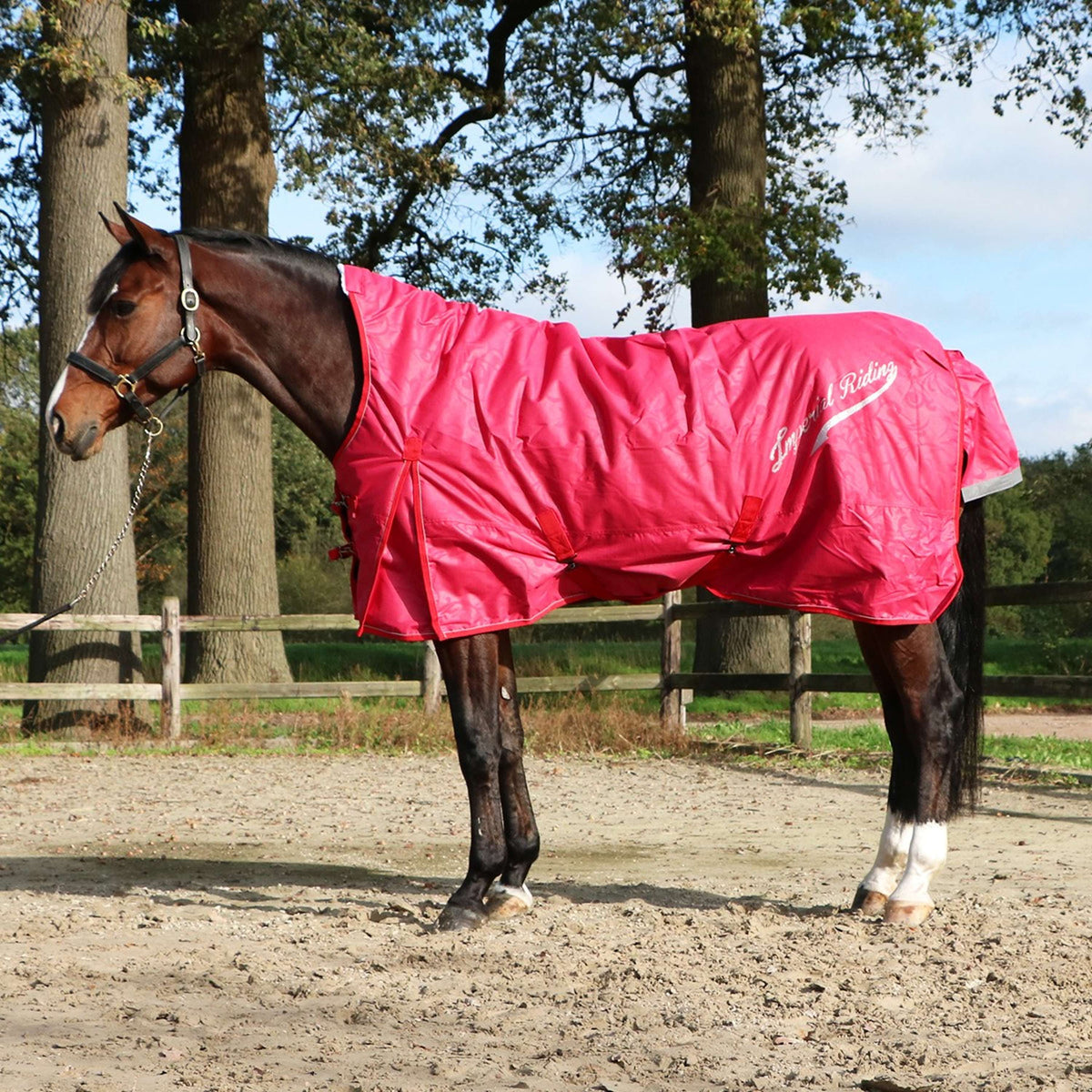 Imperial Riding Outdoor Rug Super-dry 200g Red