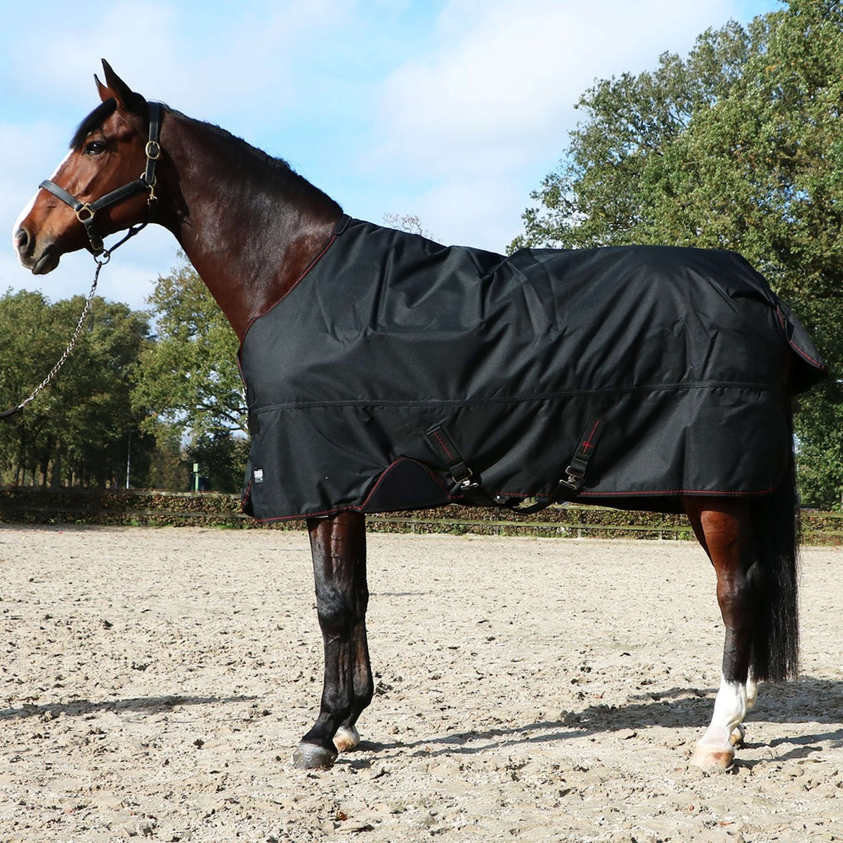 Eskadron Turnout Rug Gamma 840D 150g Black